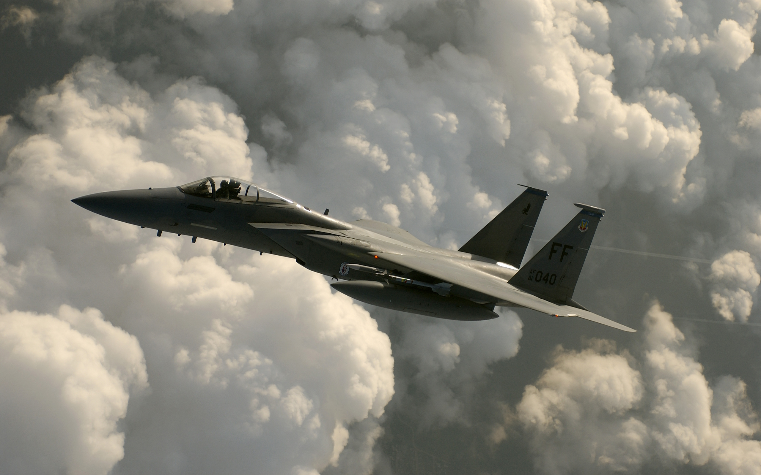 Military Jet Fighter 2560x1600