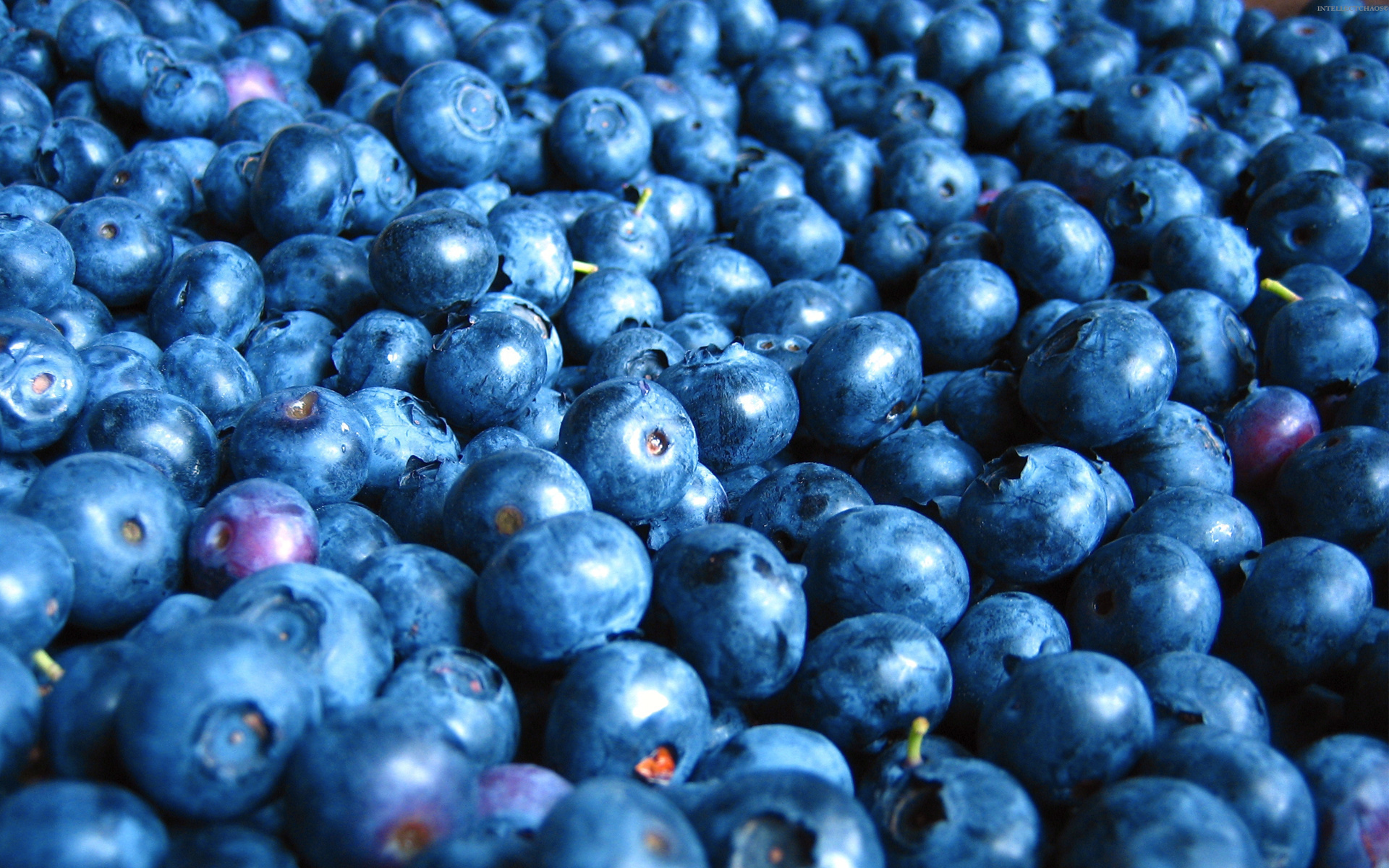 Food Blueberry 1920x1200
