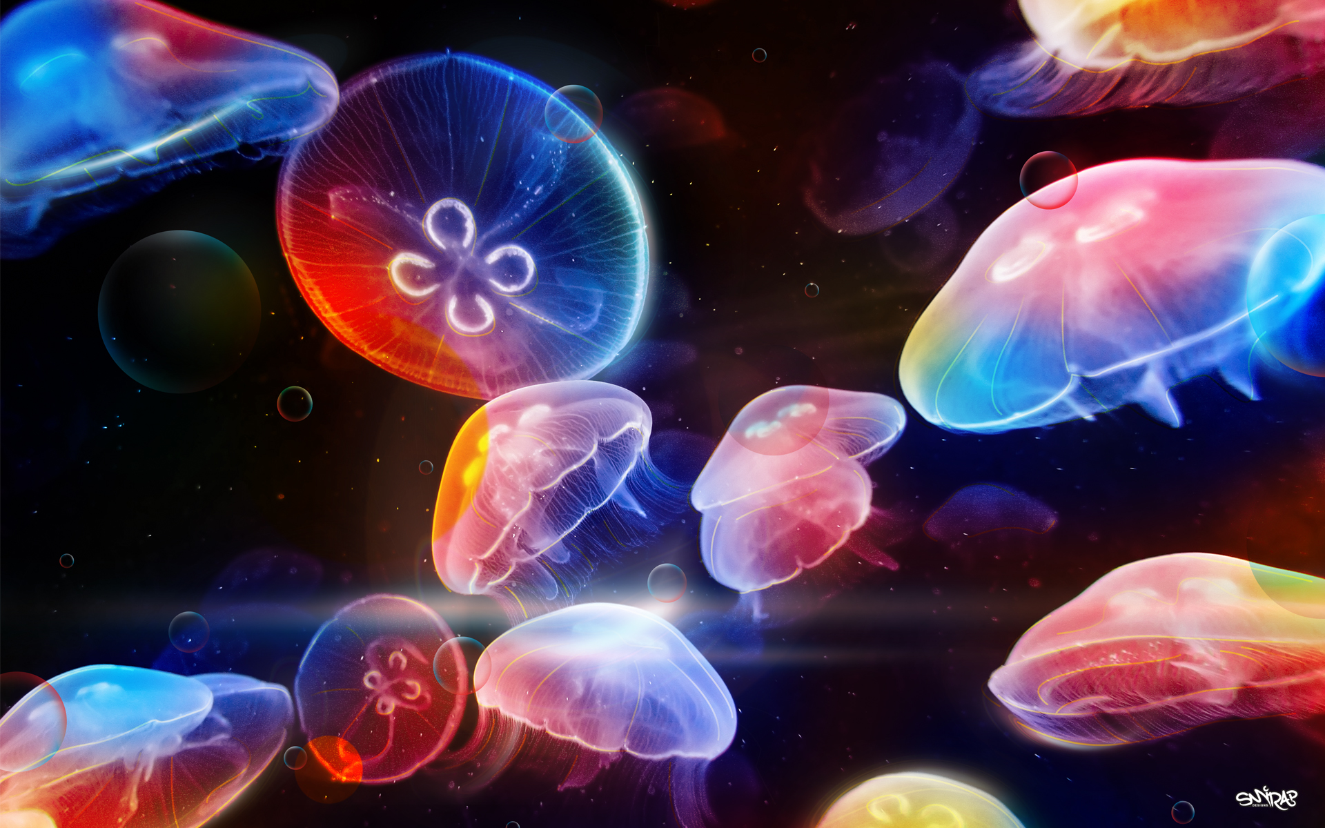 Colorful Dancing Jellyfish 1920x1200
