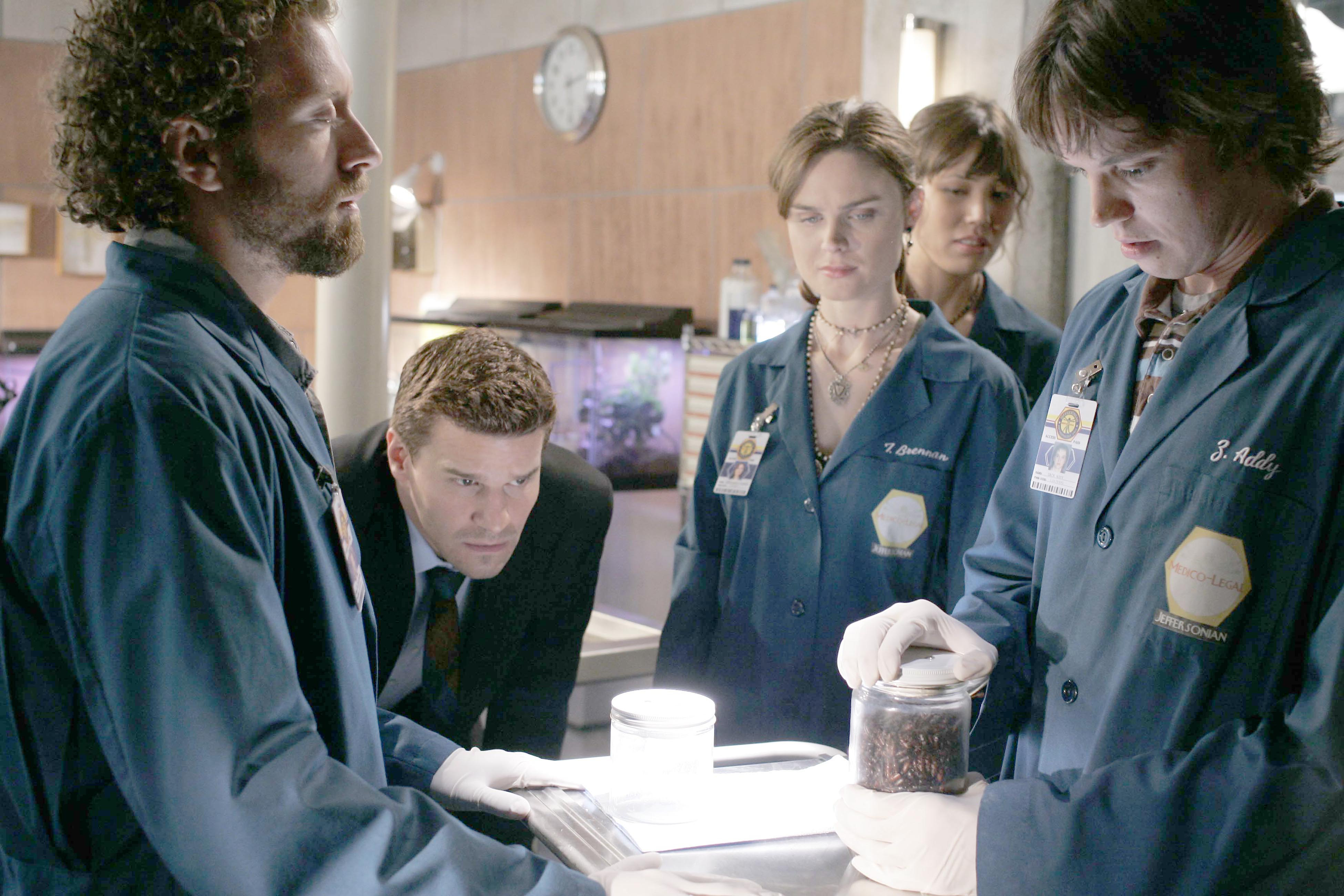 Angela Montenegro David Boreanaz Emily Deschanel Eric Millegan Jack Hodgins Michaela Conlin Seeley B 3900x2600