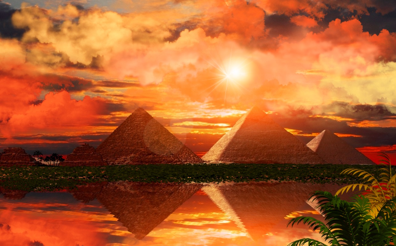 Nile Palm Tree Sunset Tropical Orange Color 1286x800