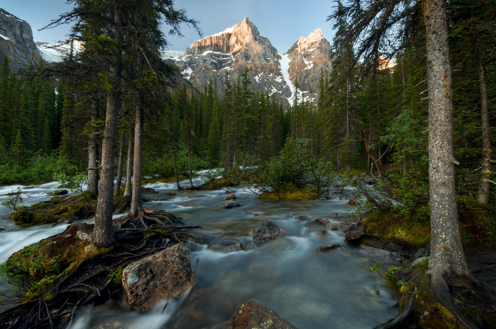 Banff National Park Canada Forest Mountain Rock Stream 2048x1360