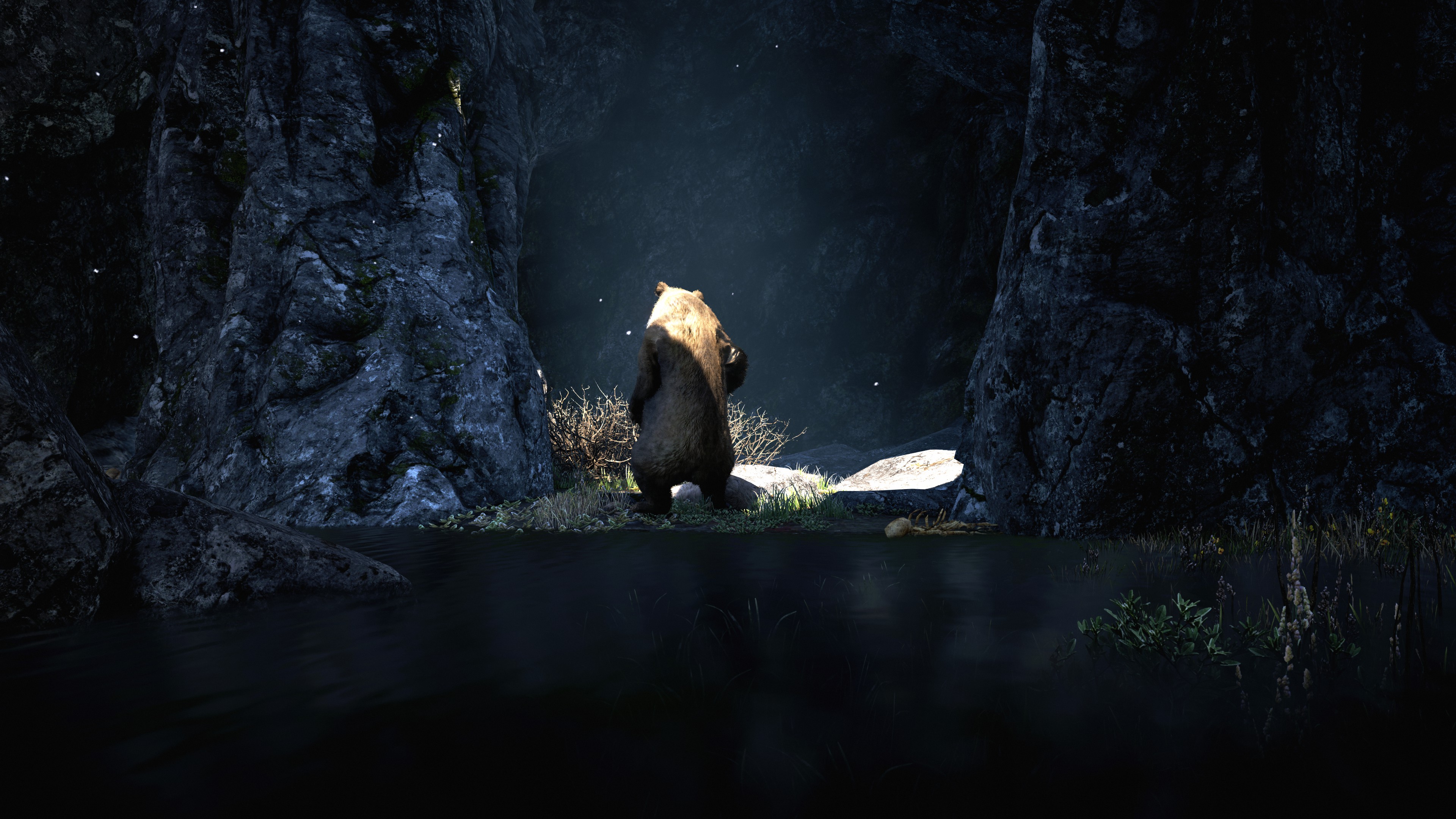 Bear Far Cry 4 3840x2160