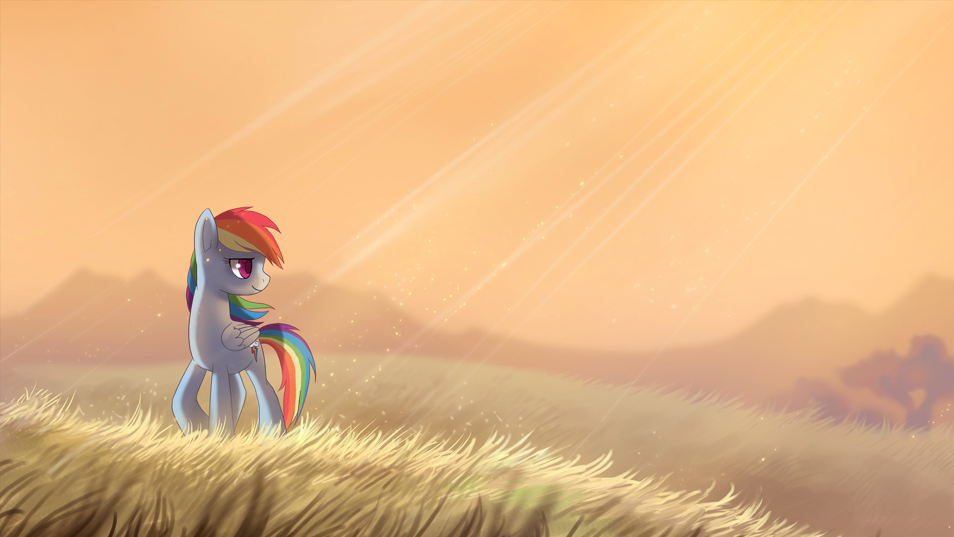 Grass My Little Pony Rainbow Dash Sunbeam 1920x1080