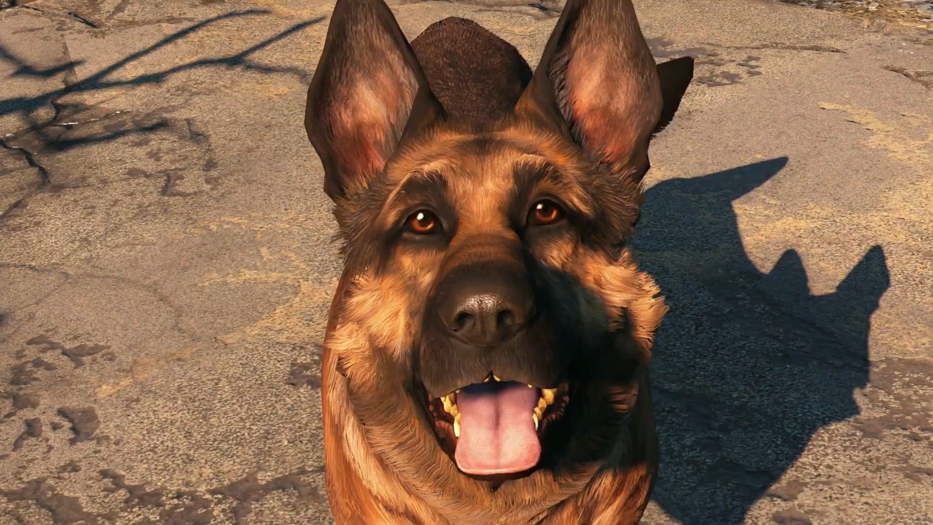 Dogmeat Fallout Fallout 4 1920x1080
