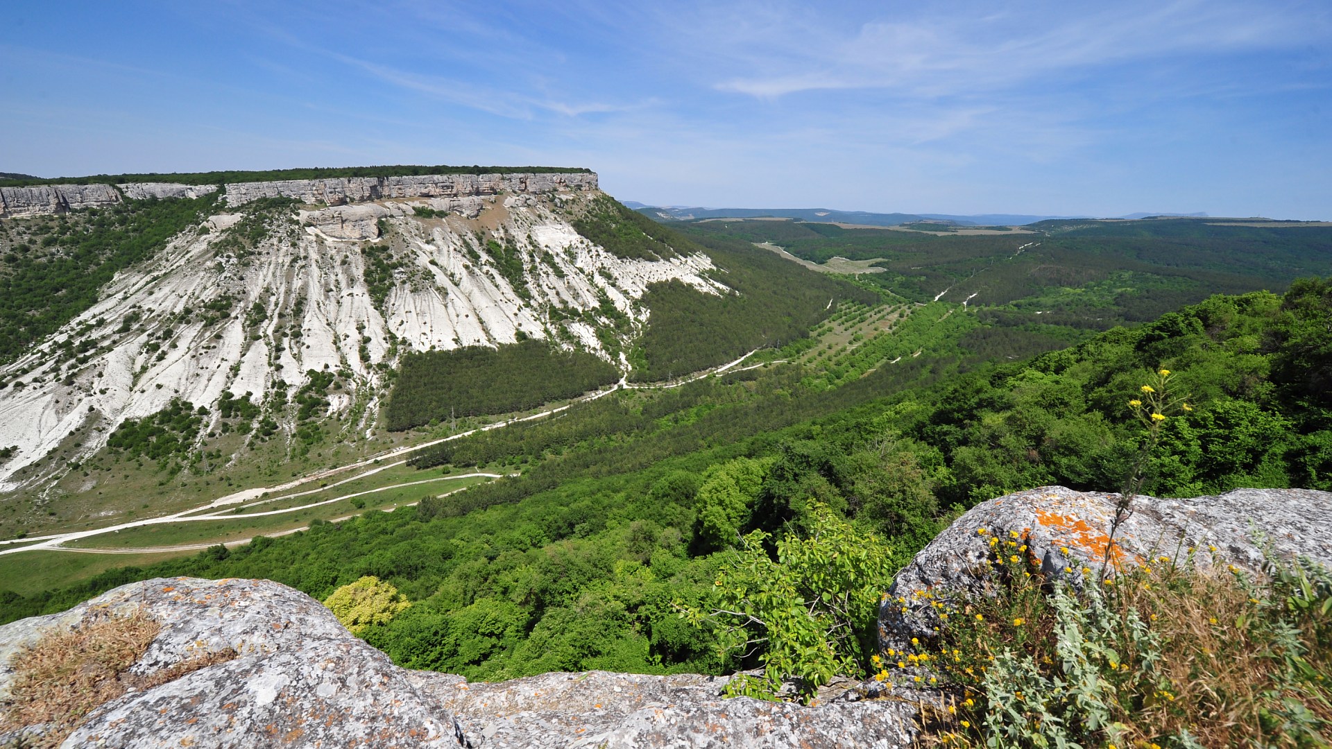 Earth Forest Landscape Rock Valley 1920x1080