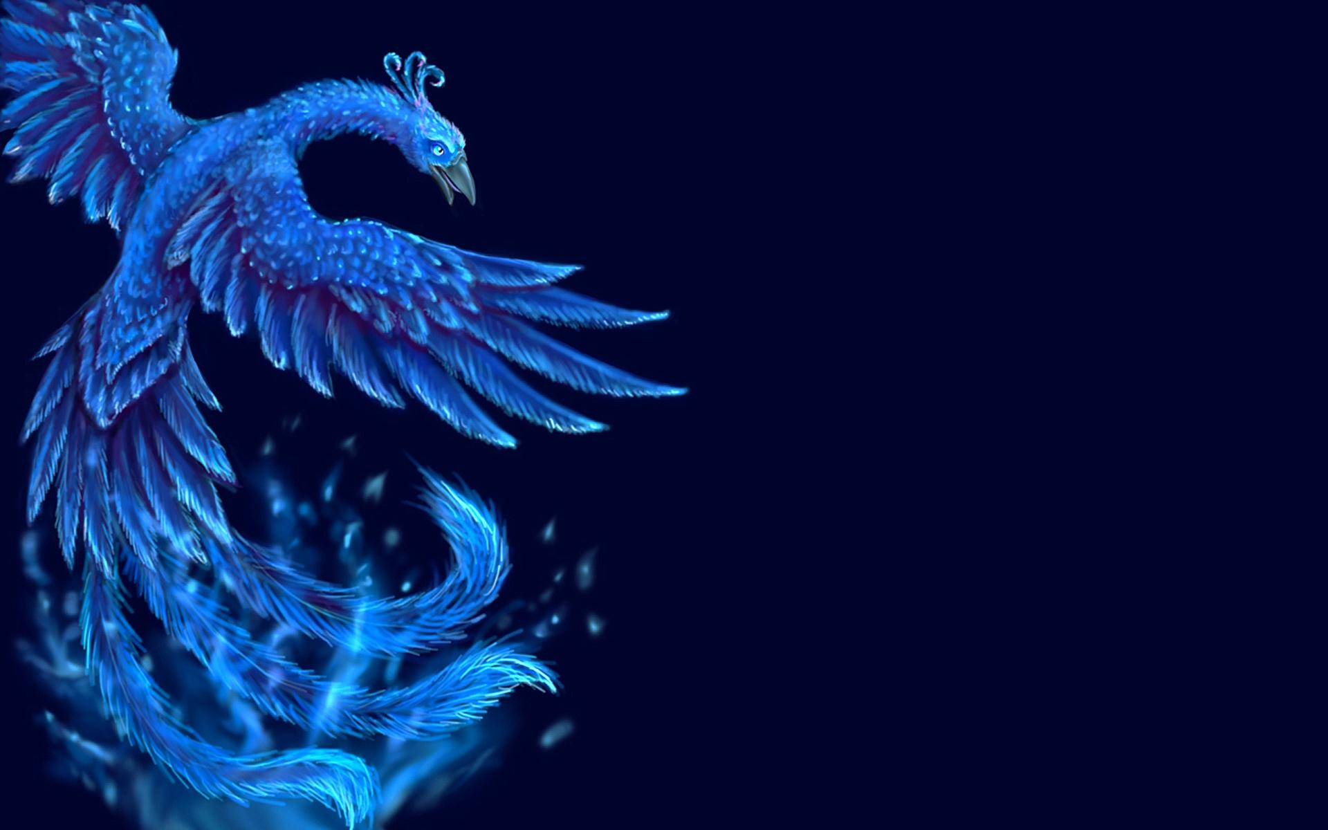 Artistic Bird Blue Phoenix 1920x1200