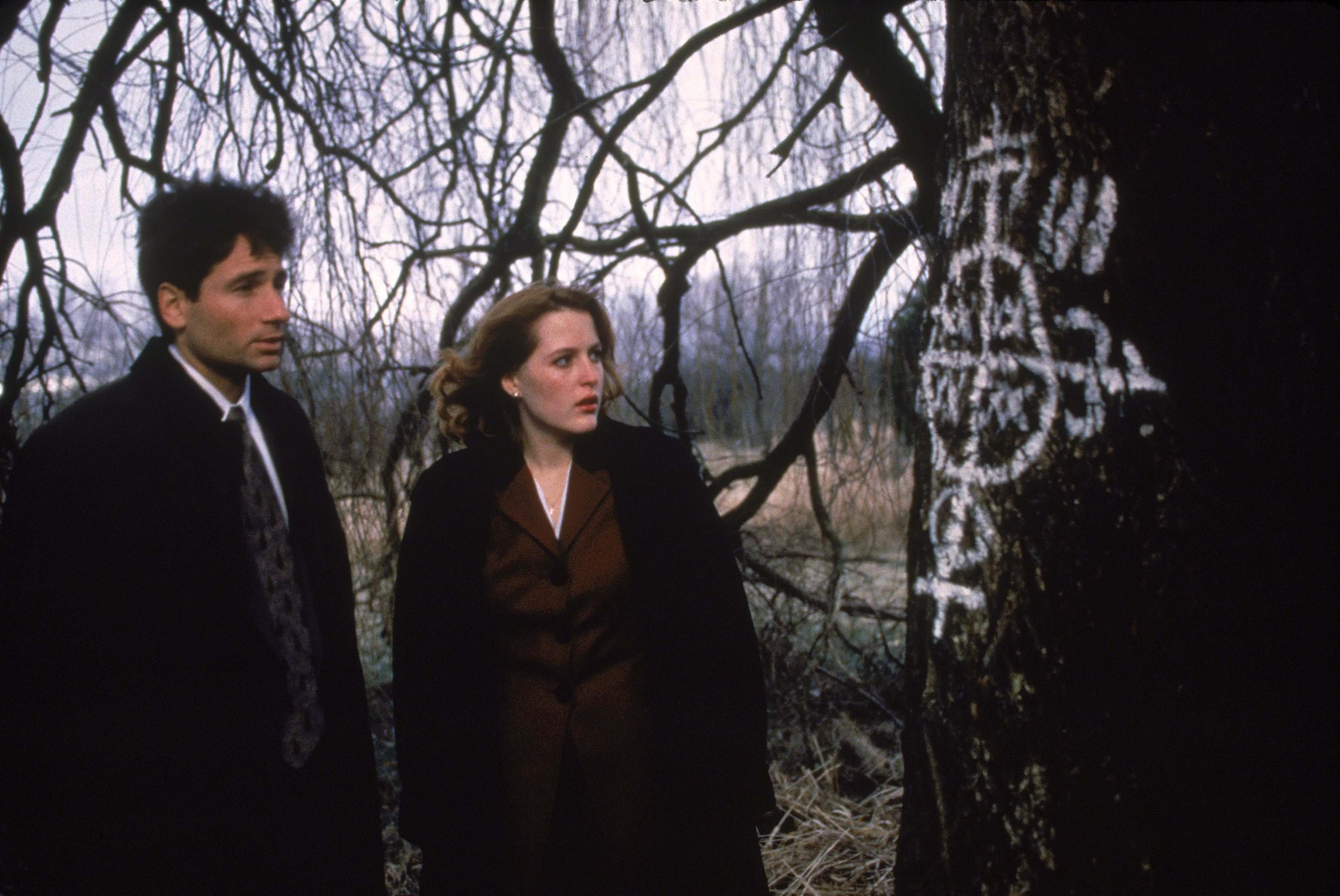 TV Show The X Files 3154x2110