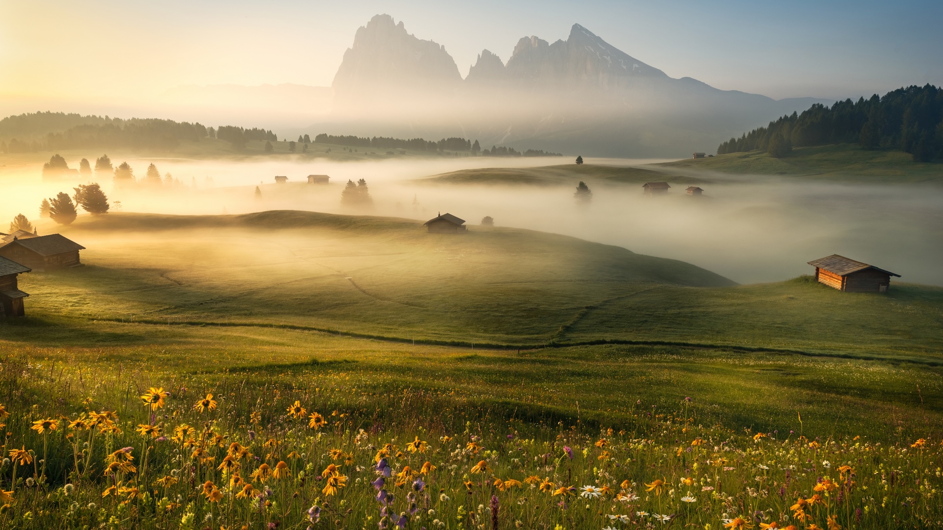 Nature Landscape Trees Mountains Hill Flowers Field Mist Cabin Forest Dolomites Mountains Alps Dolom 1920x1080