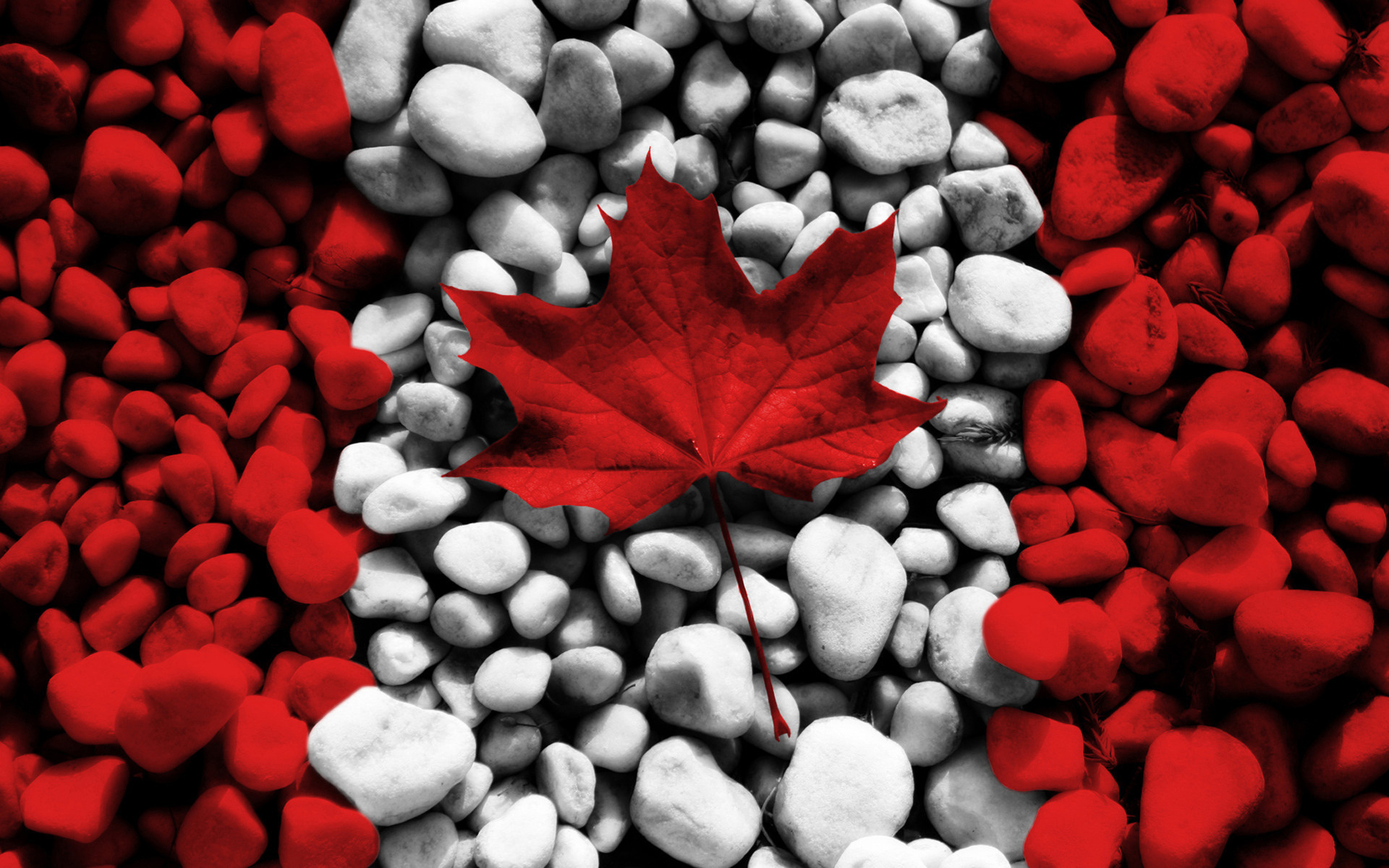 Artistic Flag Flag Of Canada Maple Leaf 1920x1200