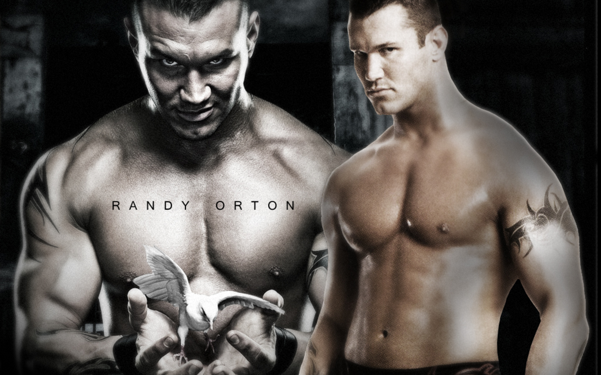 Sports WWE 1920x1200