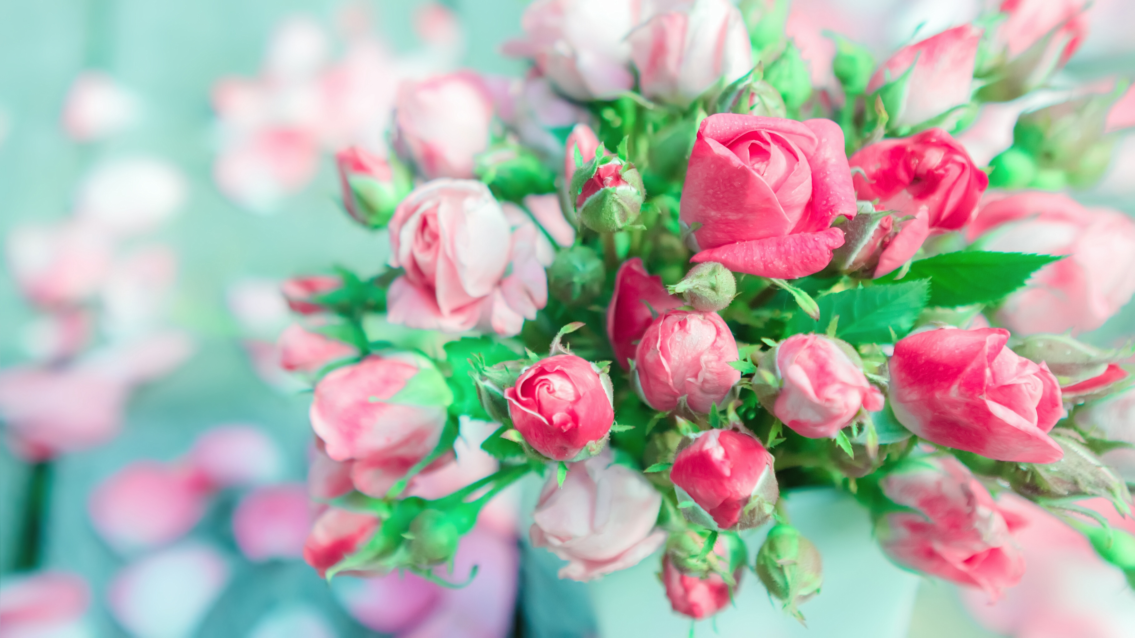 Bouquet Bud Flower Pink Flower Rose 3636x2045
