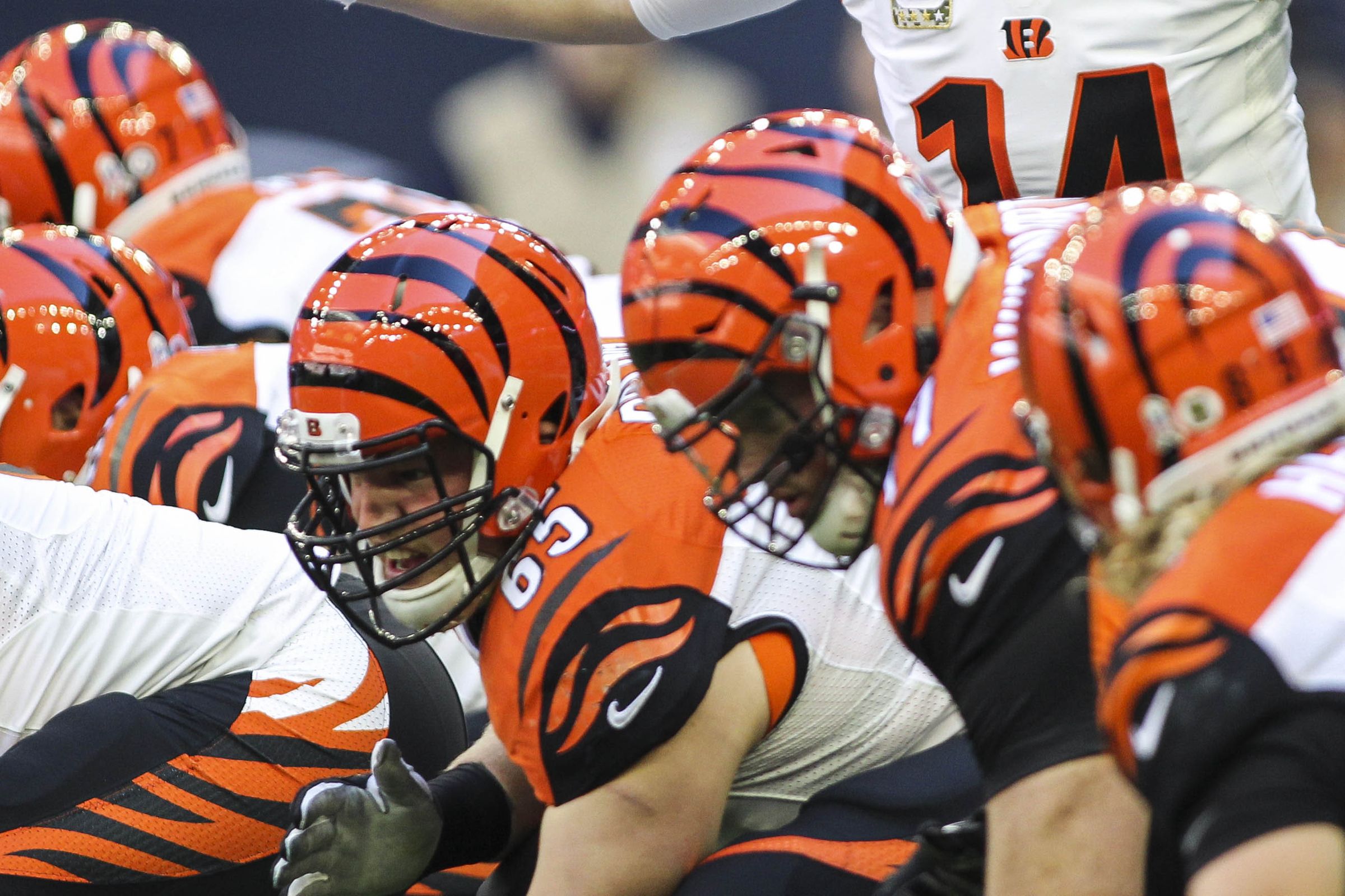 Sports Cincinnati Bengals 2400x1600