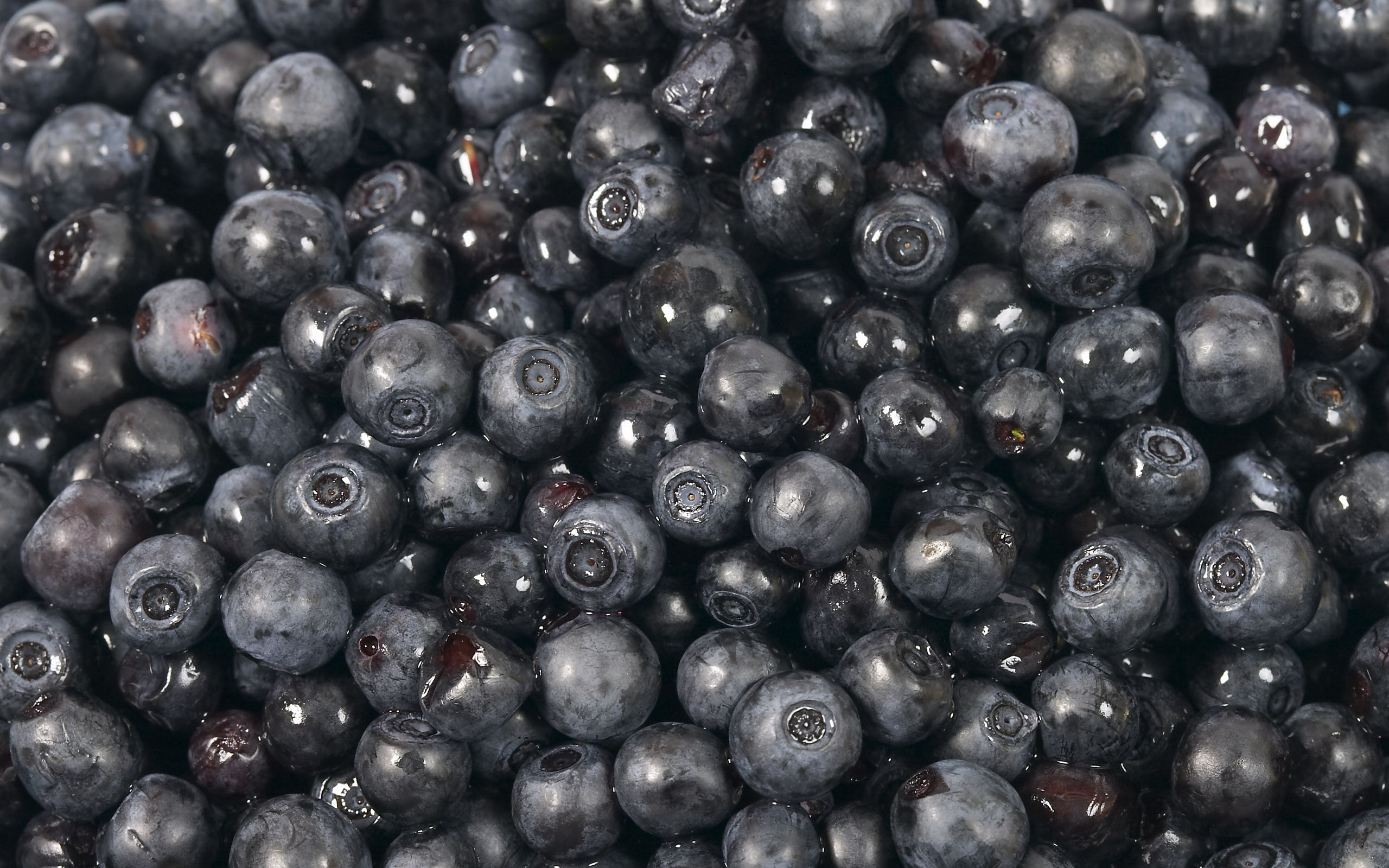 Food Blueberry 2560x1600
