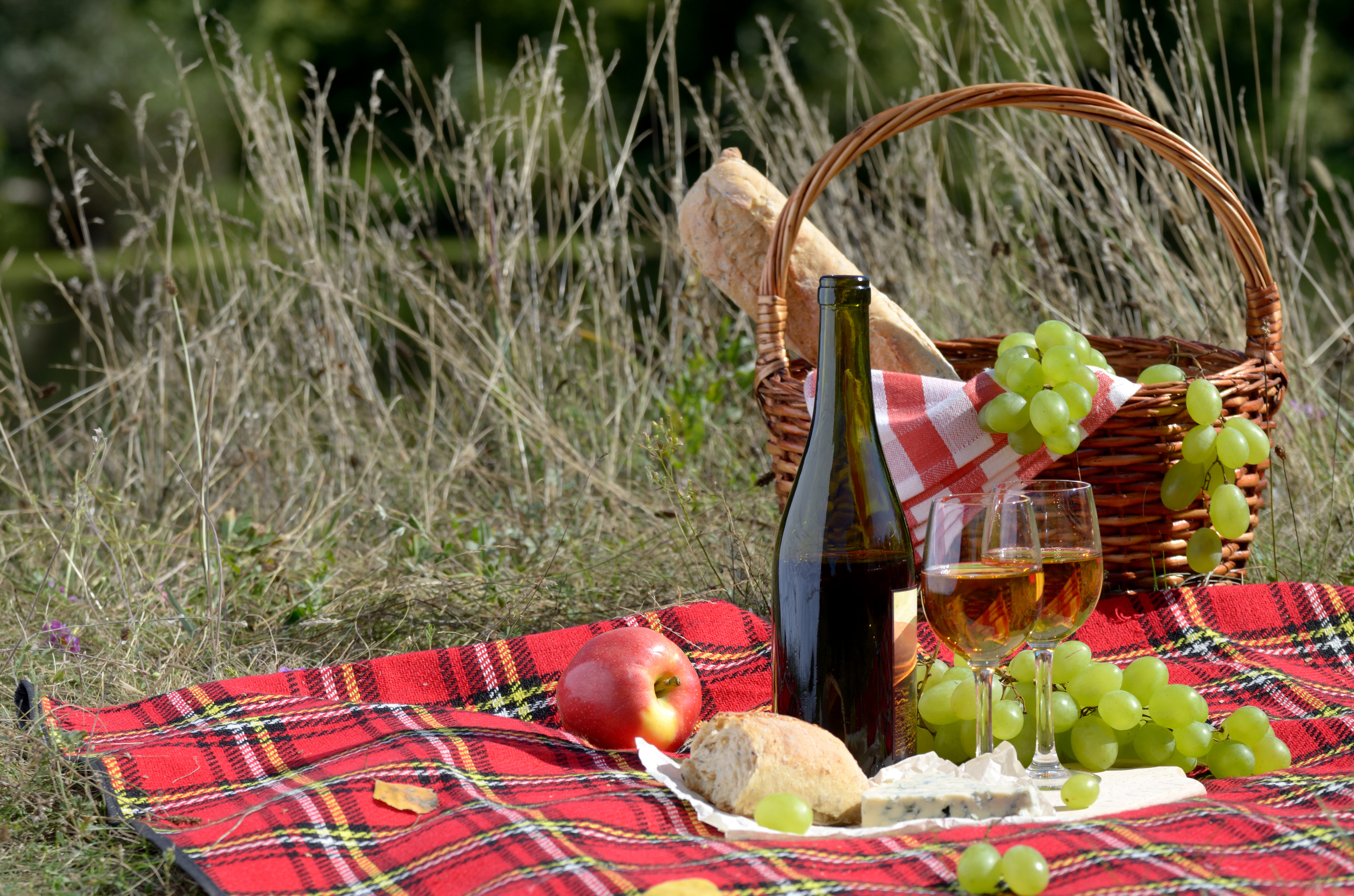 Apple Basket Bottle Bread Glass Grapes Picnic Wine 4928x3264