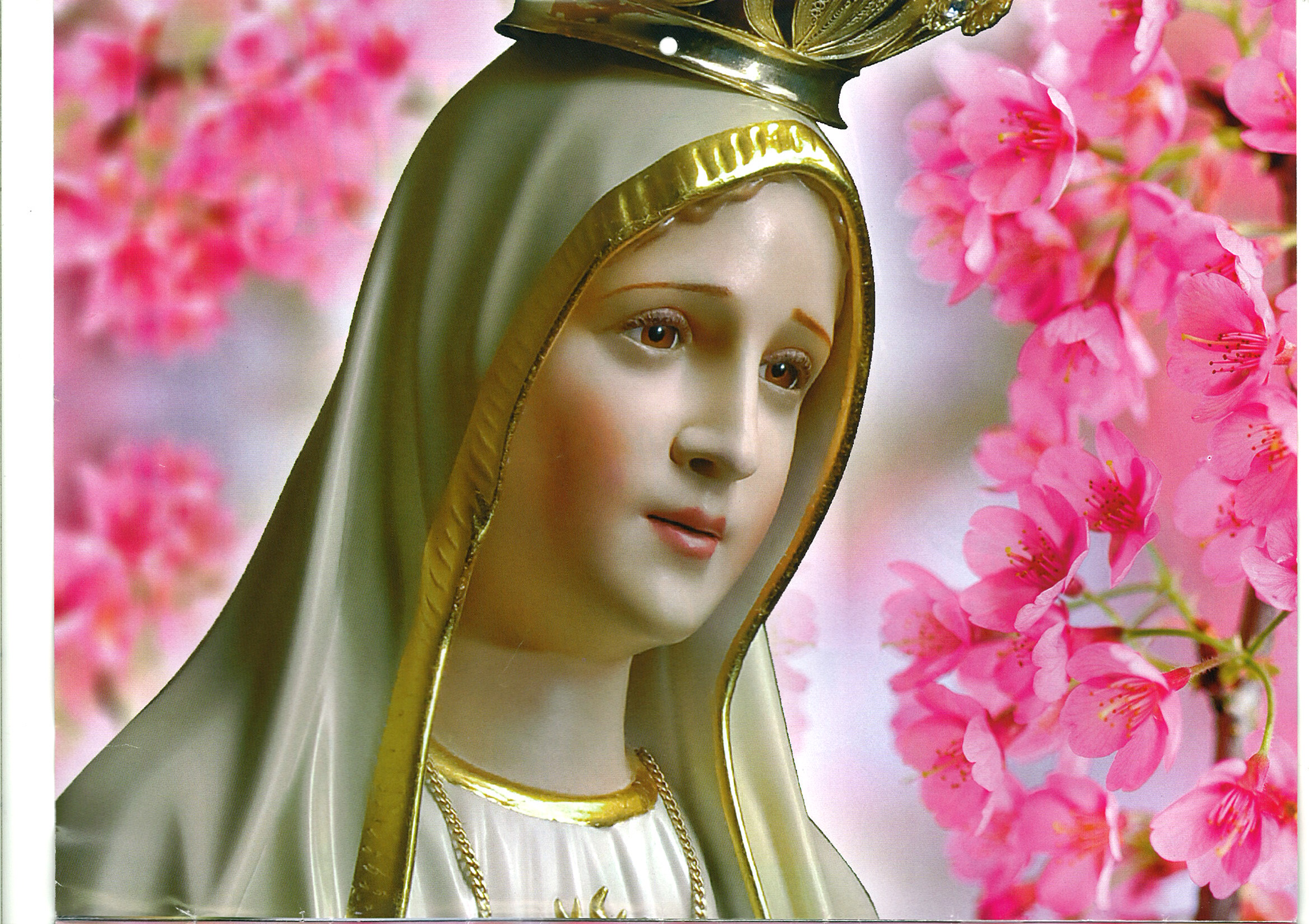 Mary Mother Of Jesus Our Lady Of Fatima 2335x1648