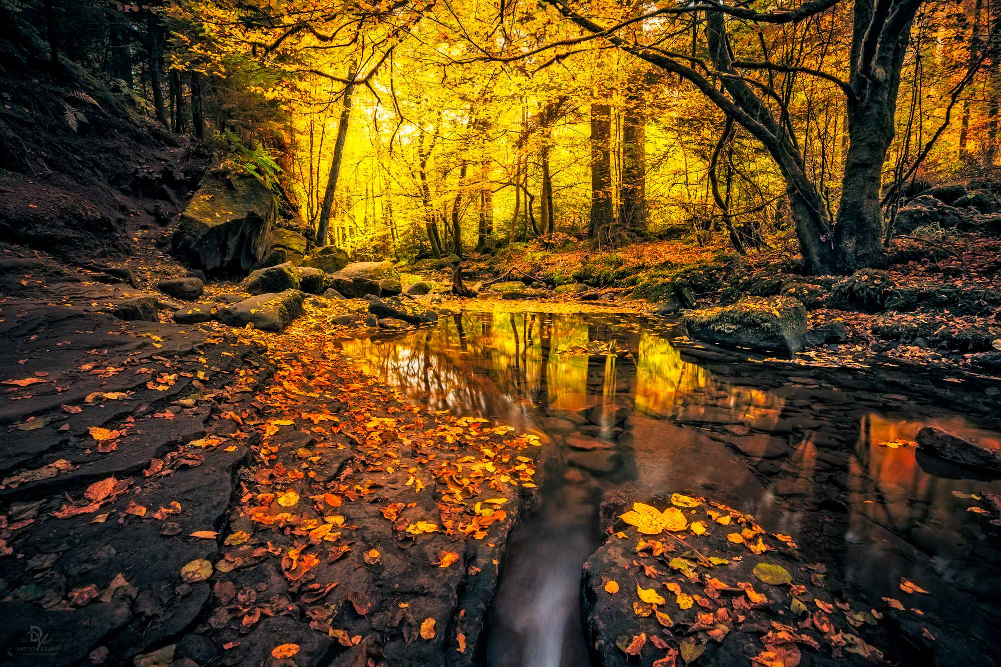 Fall Foliage Forest Rock Stream 2000x1333