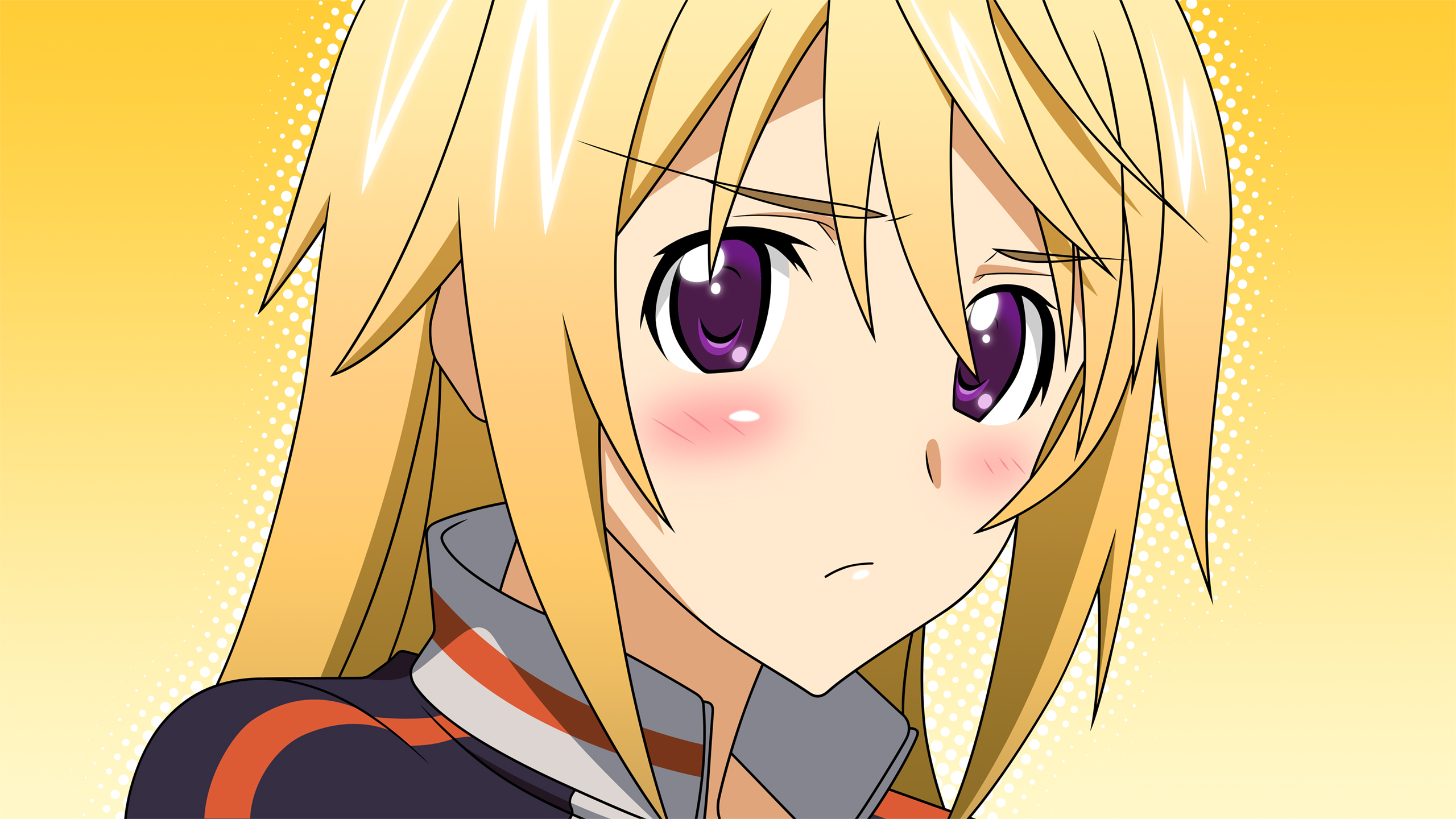 Anime Infinite Stratos 2560x1440