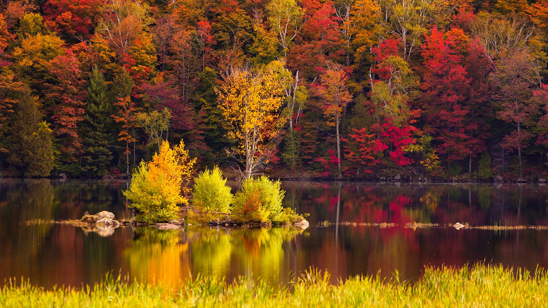 Nature Landscape Trees Rocks Water Grass Fall Foliage Vermont USA 1920x1080