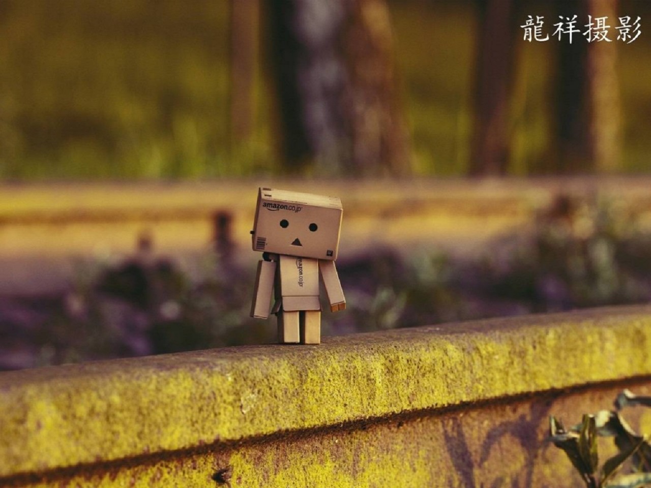 Misc Danbo 1280x960