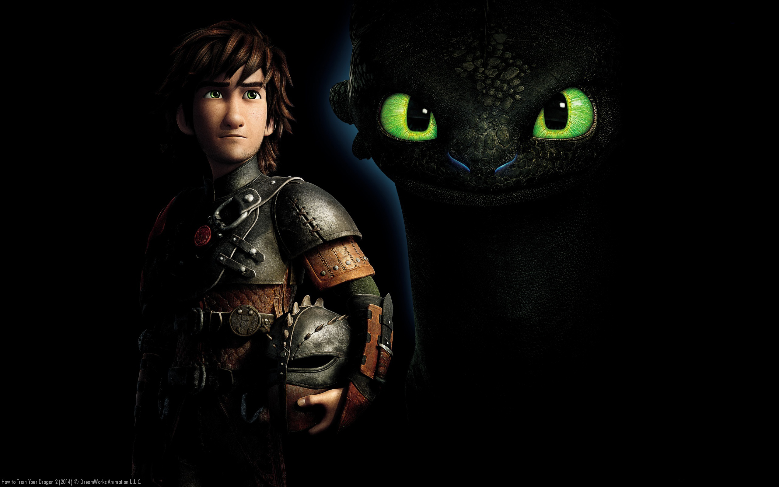 Hiccup How To Train Your Dragon How To Train Your Dragon 2 Toothless How To Train Your Dragon 2560x1600