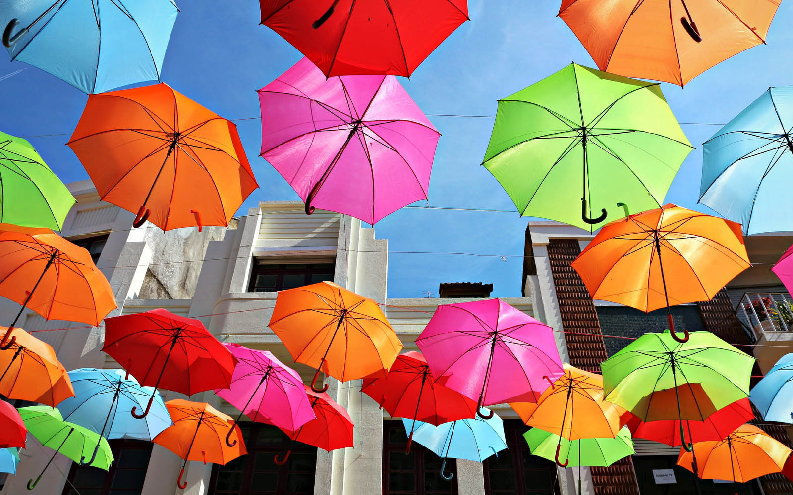 Artistic Colorful Colors Umbrella 1600x1000