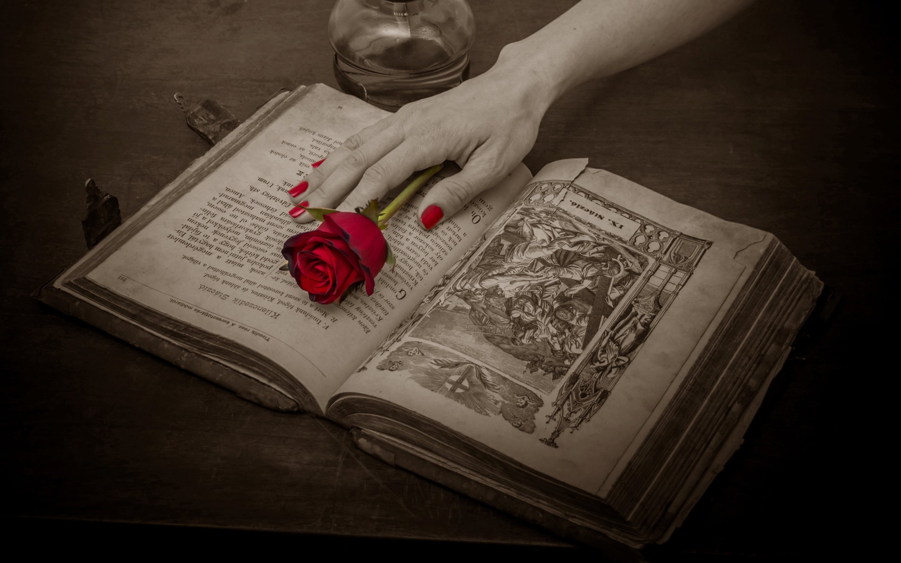 Book Hand Religious Rose Selective Color 2880x1800