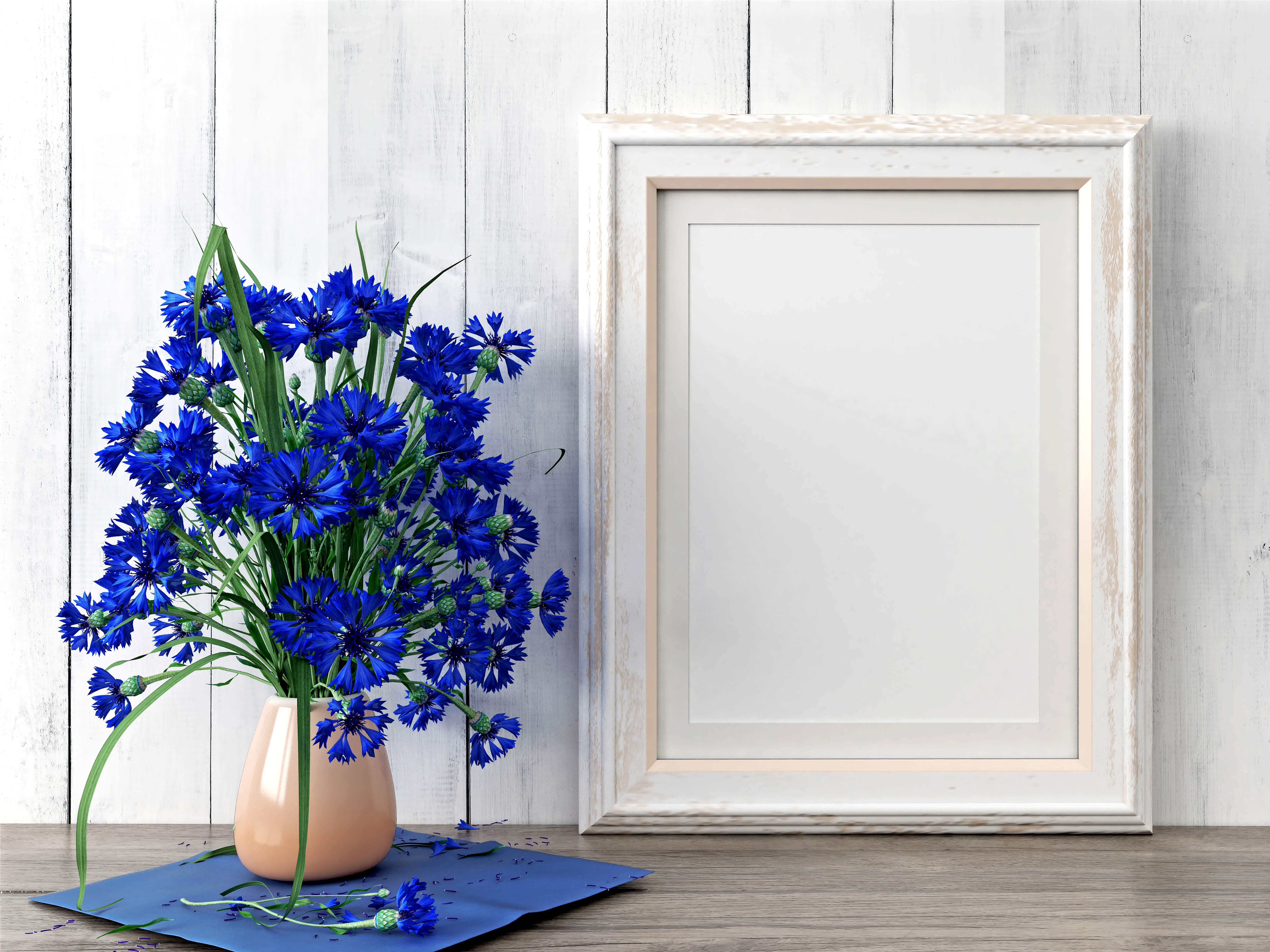 Blue Flower Cornflower Flower Still Life Vase 6400x4800