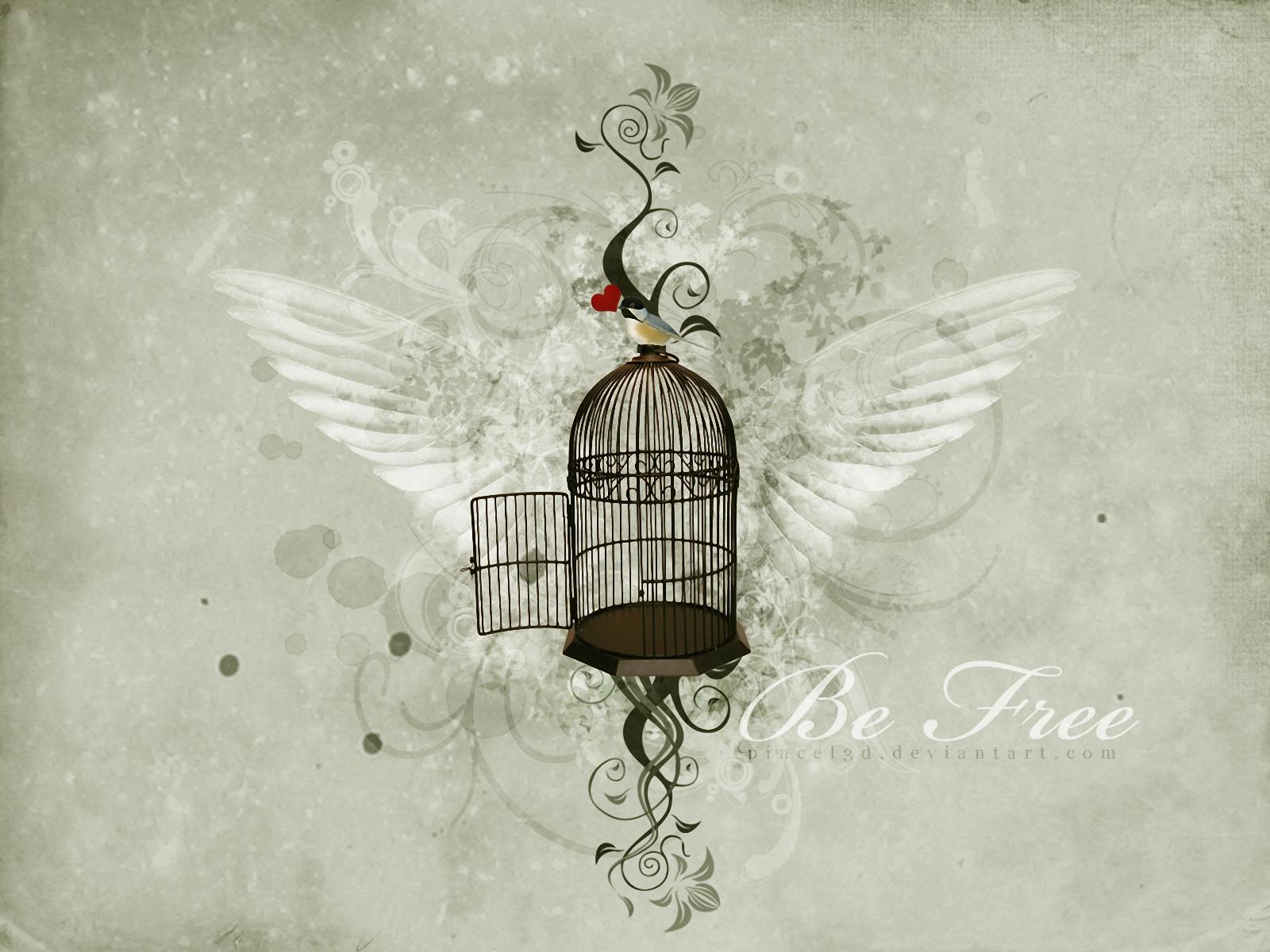 Artistic Bird Birdcage Heart Wings 1600x1200