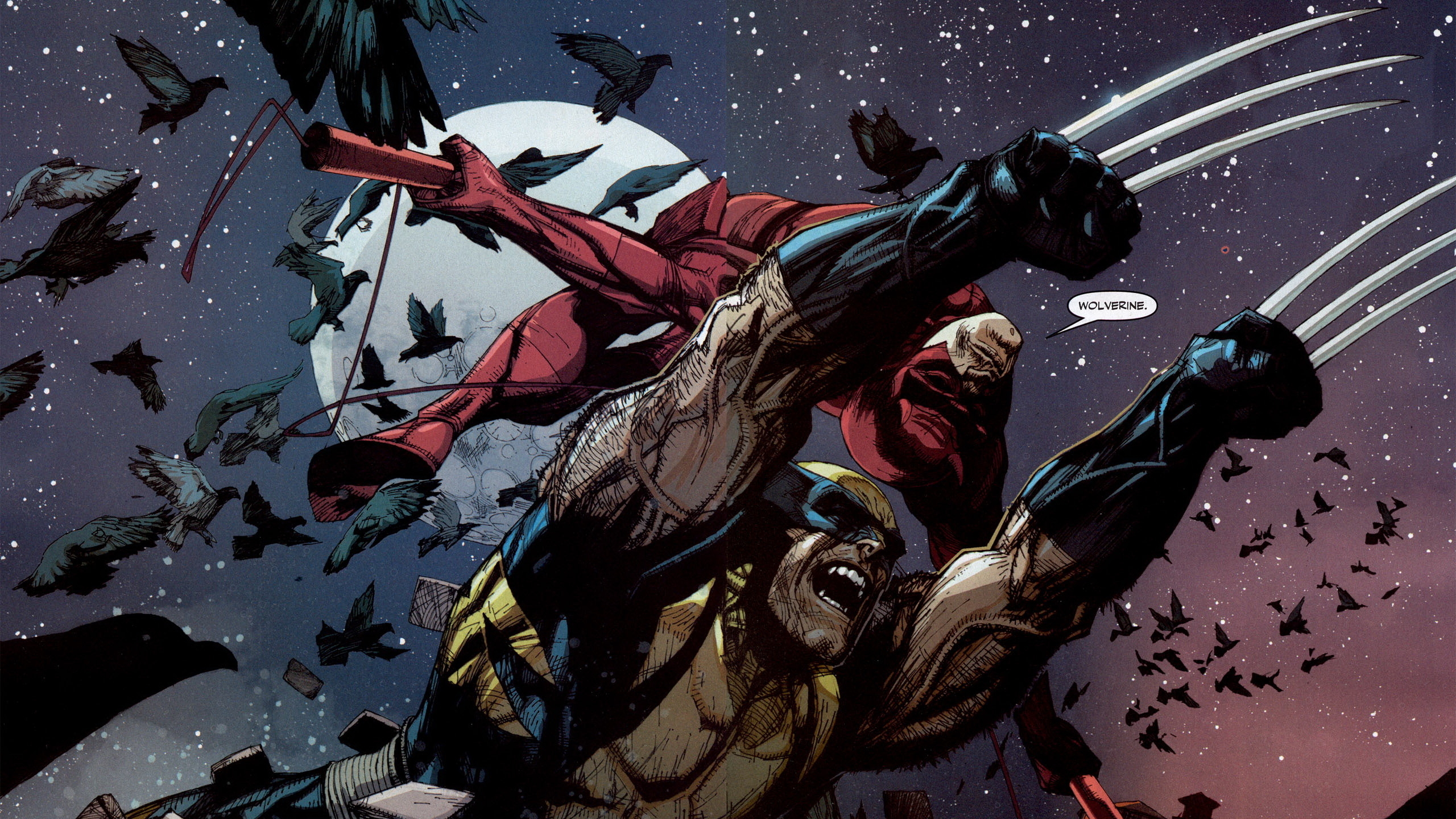 Daredevil Marvel Comics Wolverine 2560x1440