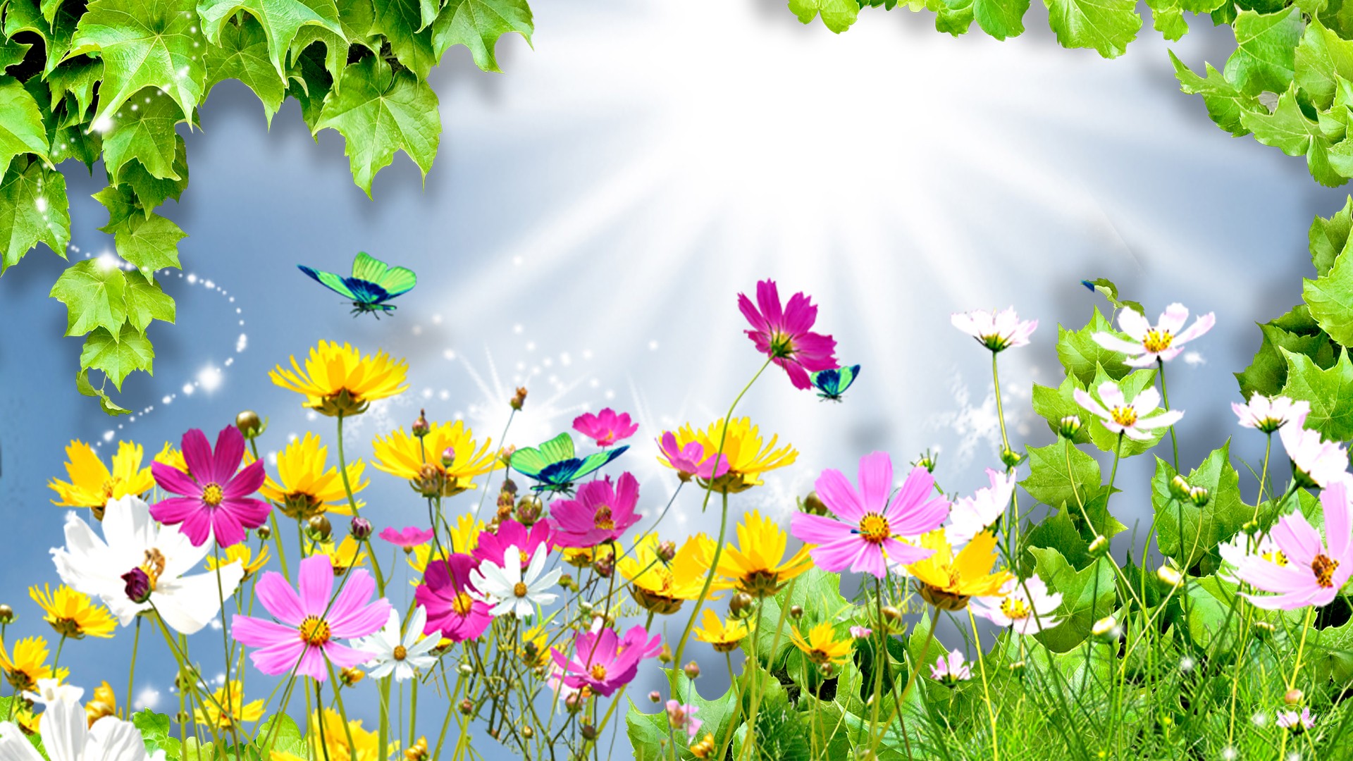 Artistic Butterfly Colorful Cosmos Flower Grass Leaf Spring 1920x1080