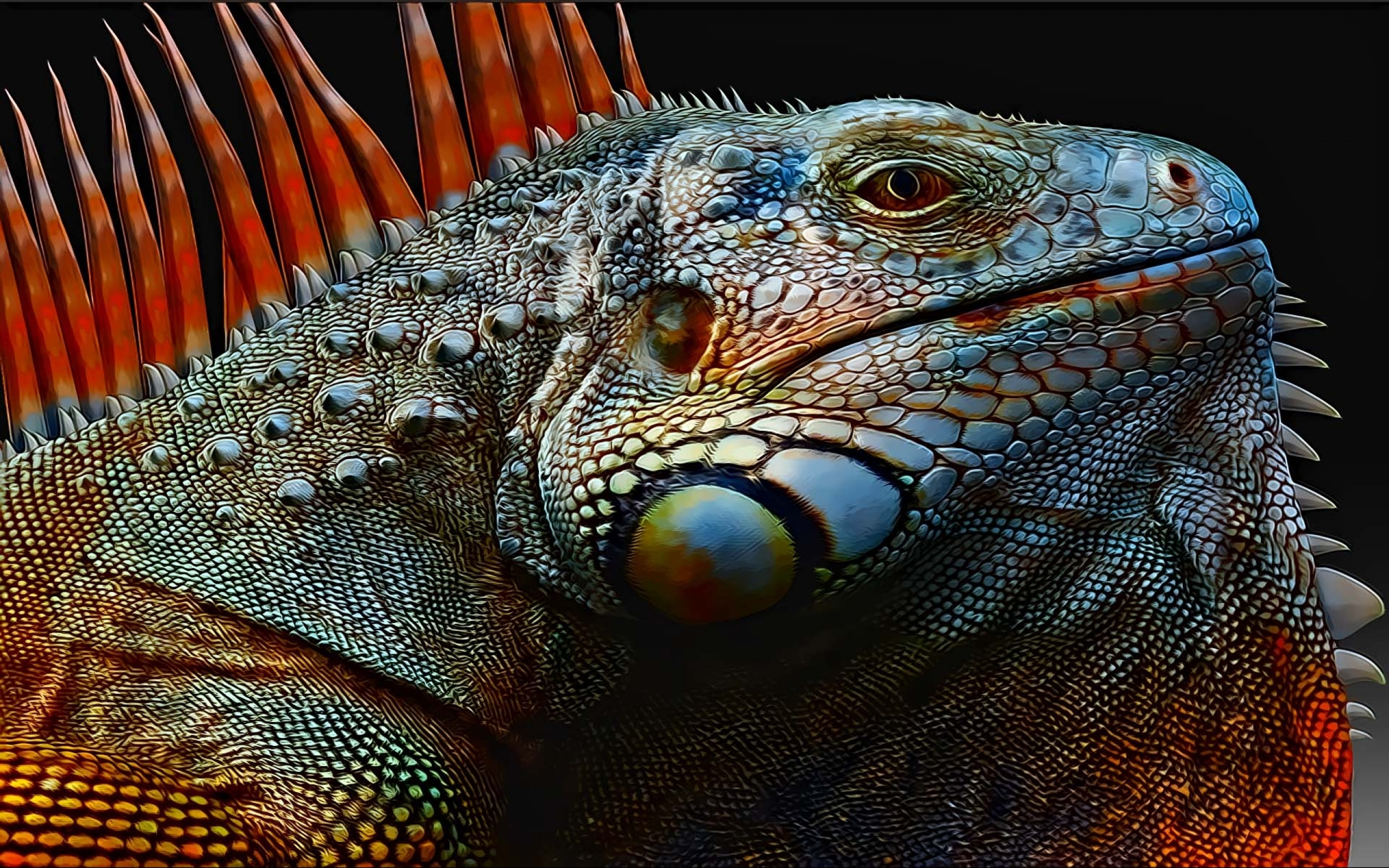 Animal Iguana 2560x1600