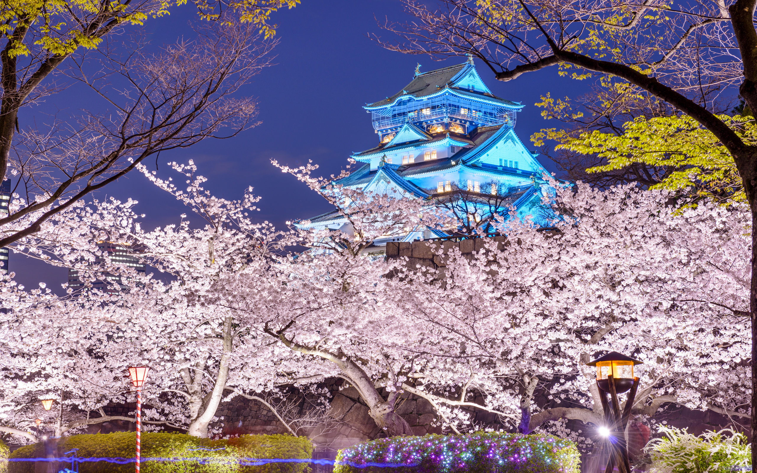 Japan Osaka Osaka Castle Spring 2560x1600