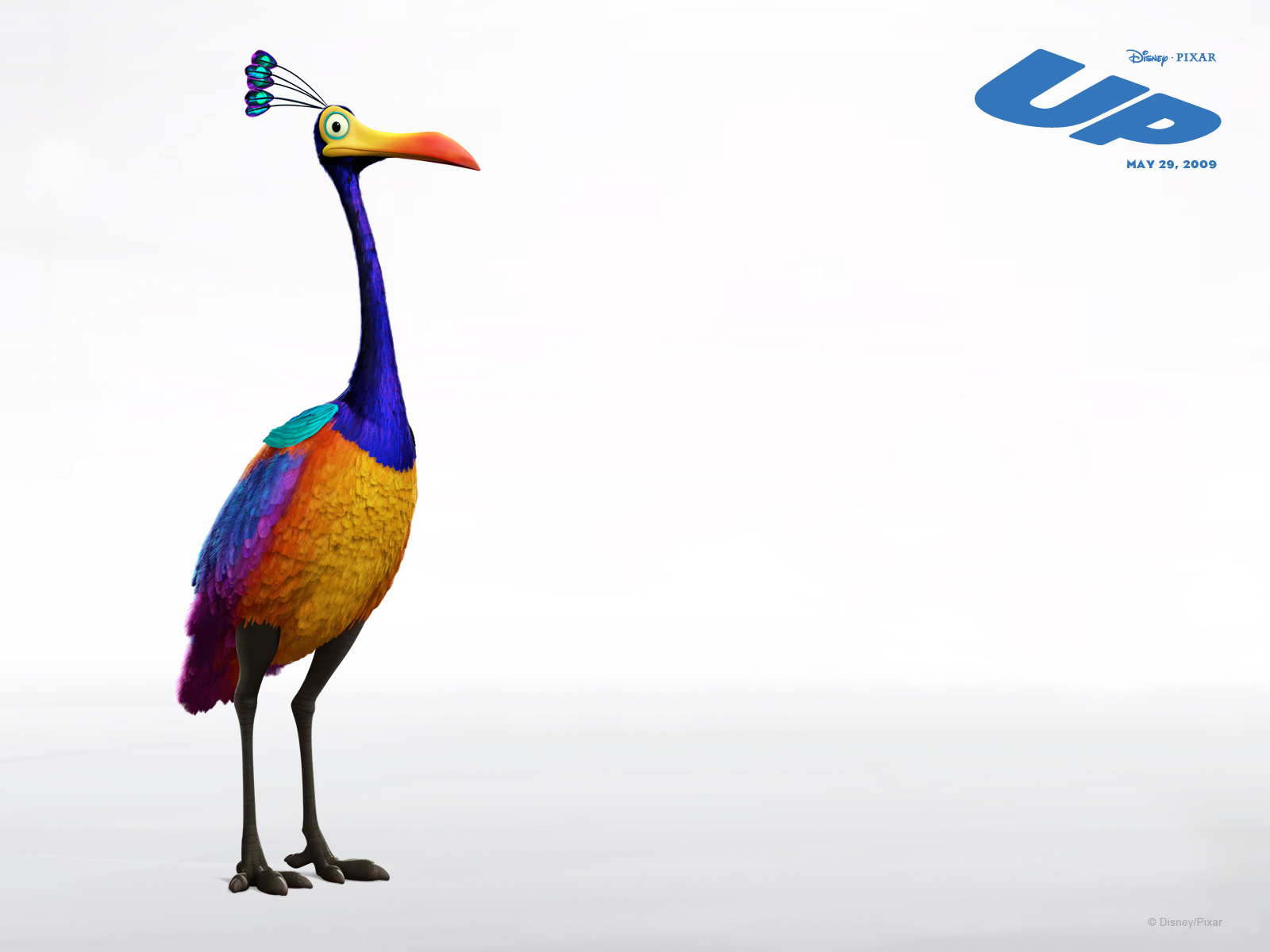 Bird Disney Kevin Up Pixar Up Movie 1600x1200