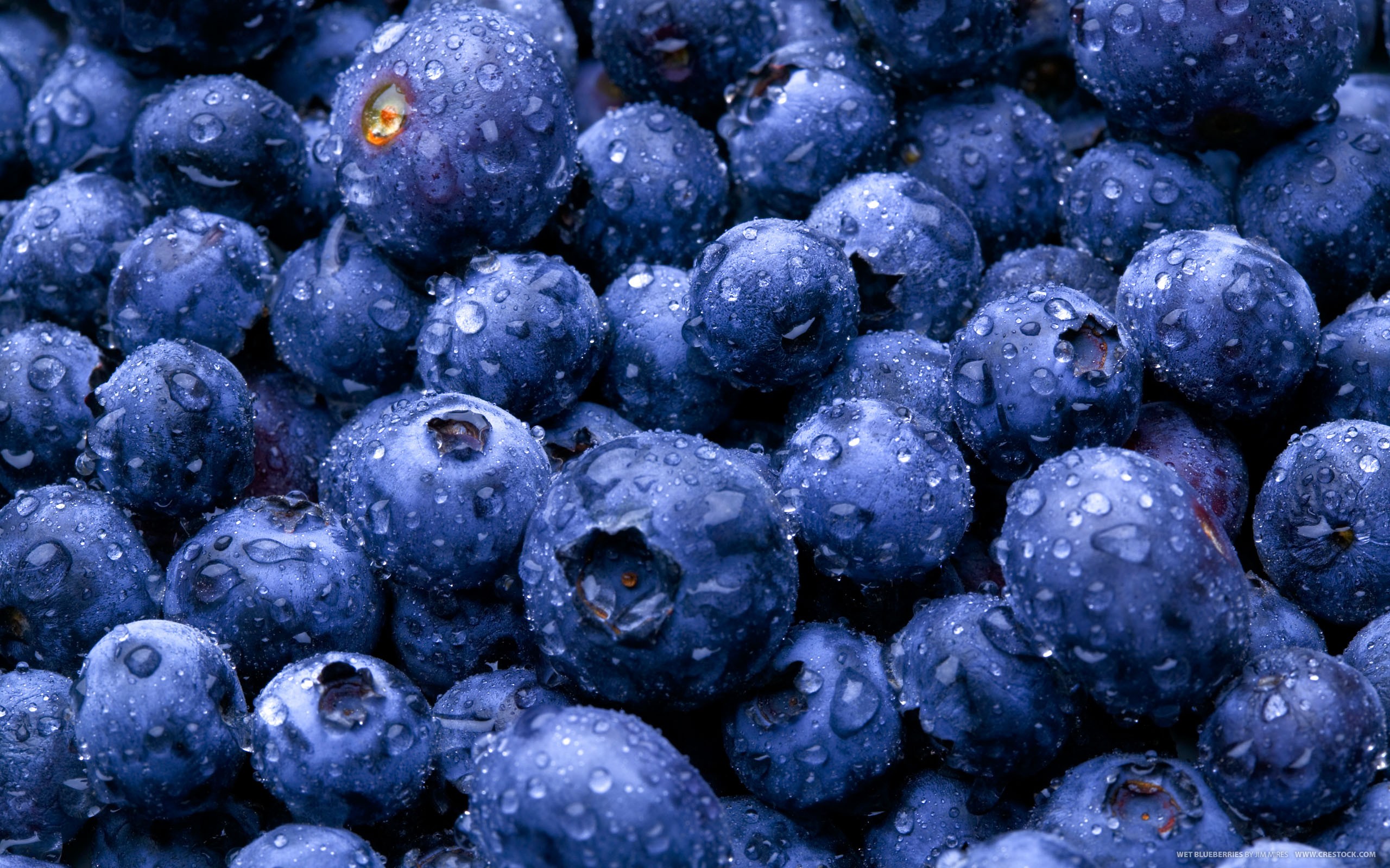 Food Blueberry 2560x1600