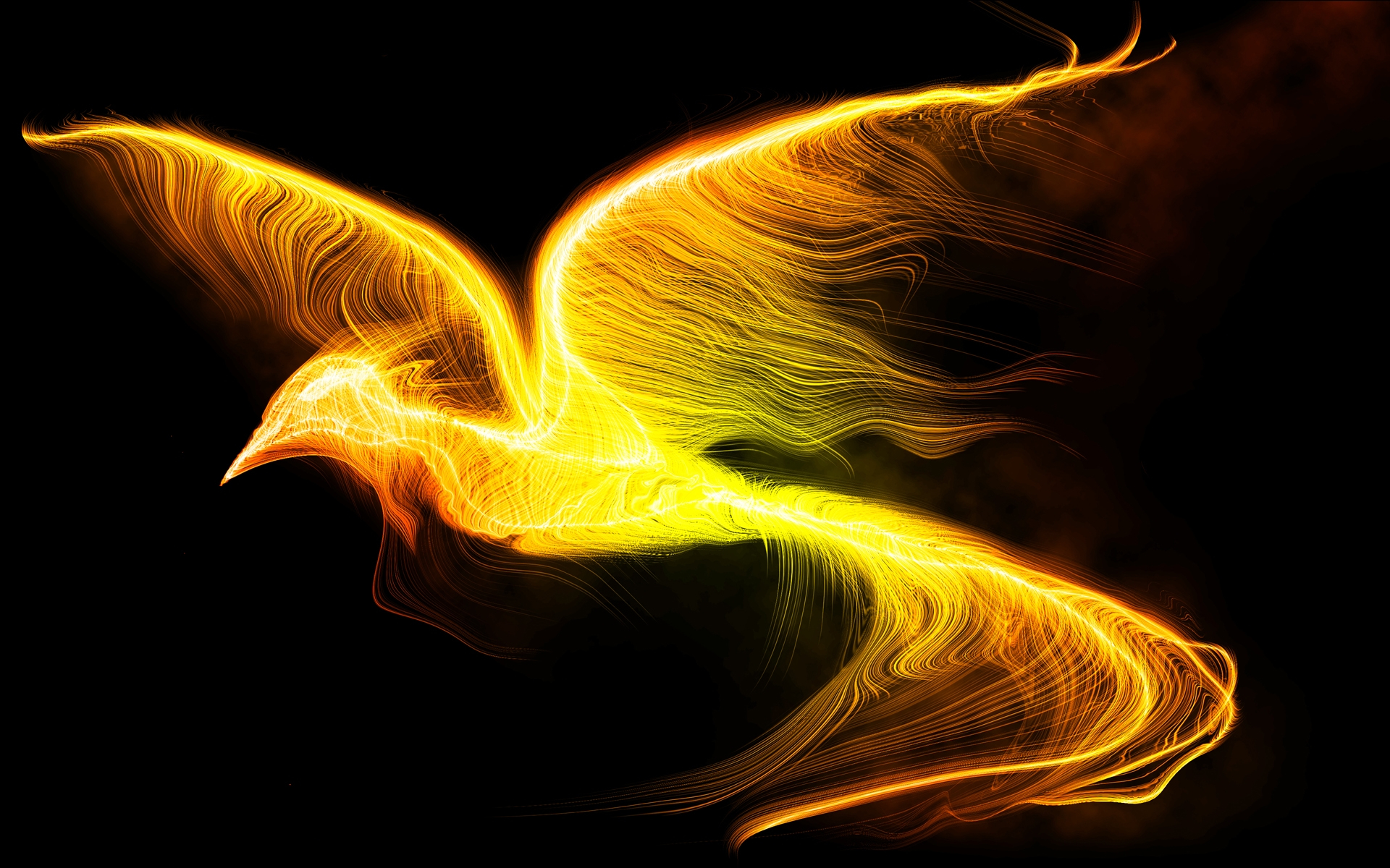 Bird Fantasy Fire Phoenix 1920x1200