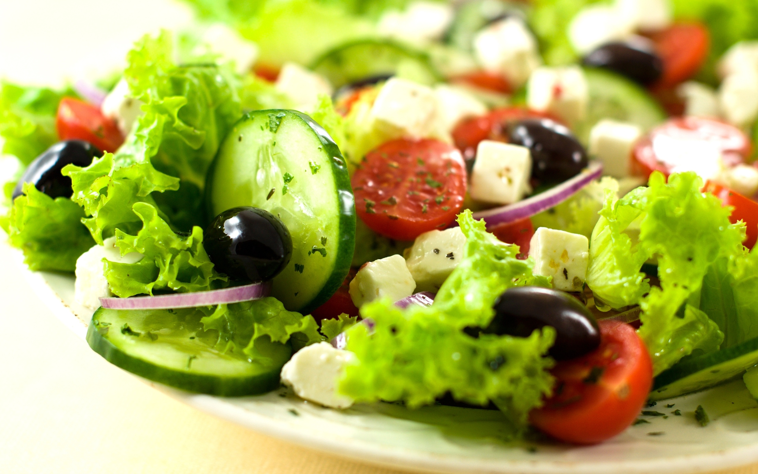 Food Salad 2560x1600