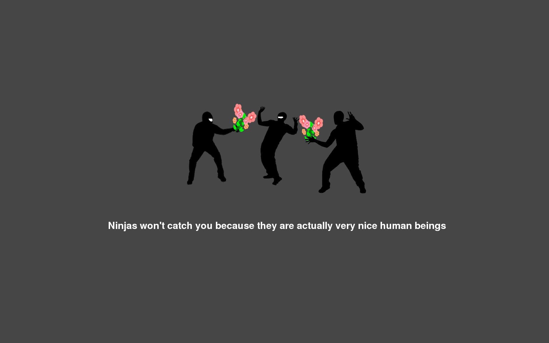 Humor Ninja 1920x1200