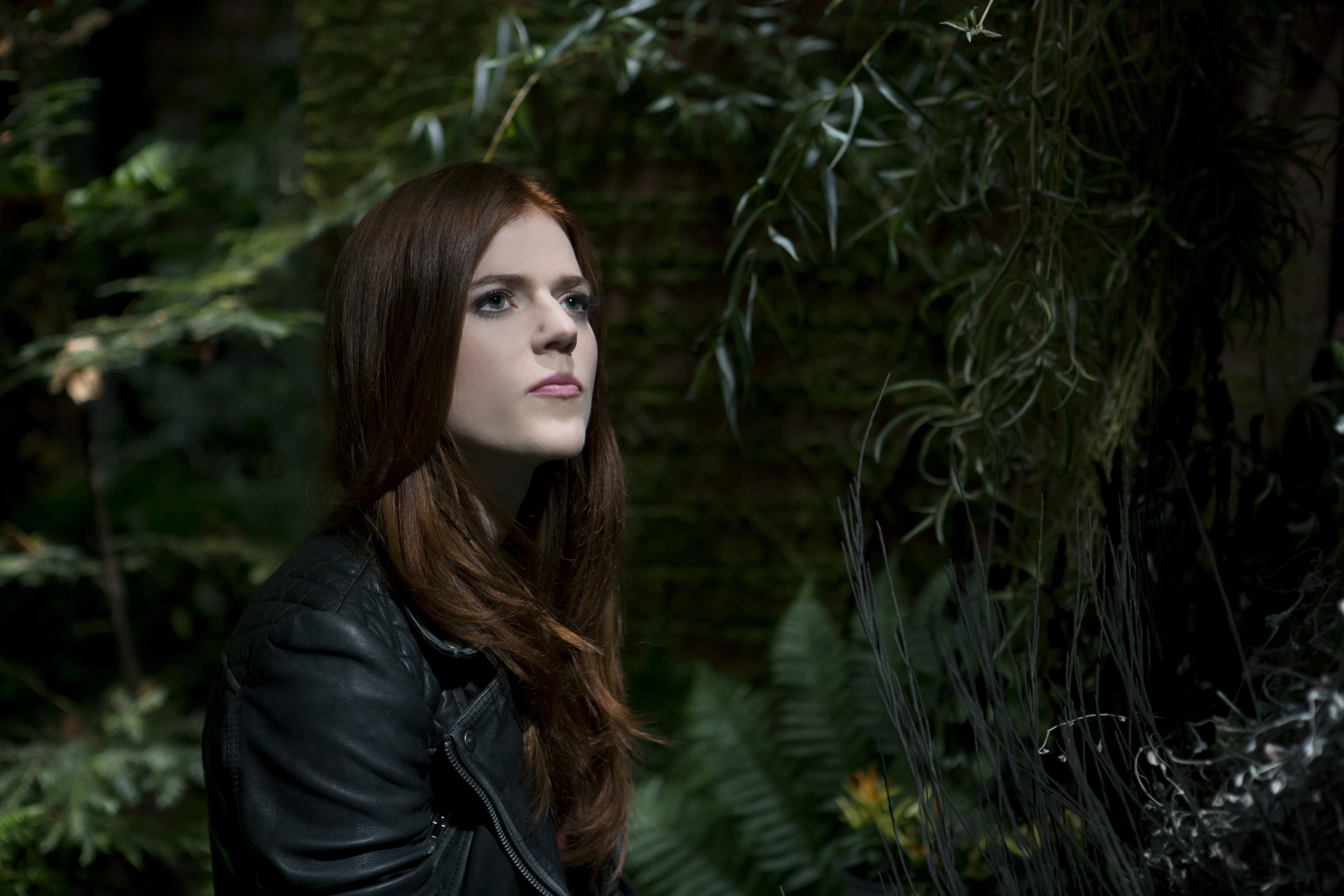 Chloe The Last Witch Hunter Rose Leslie 5760x3840