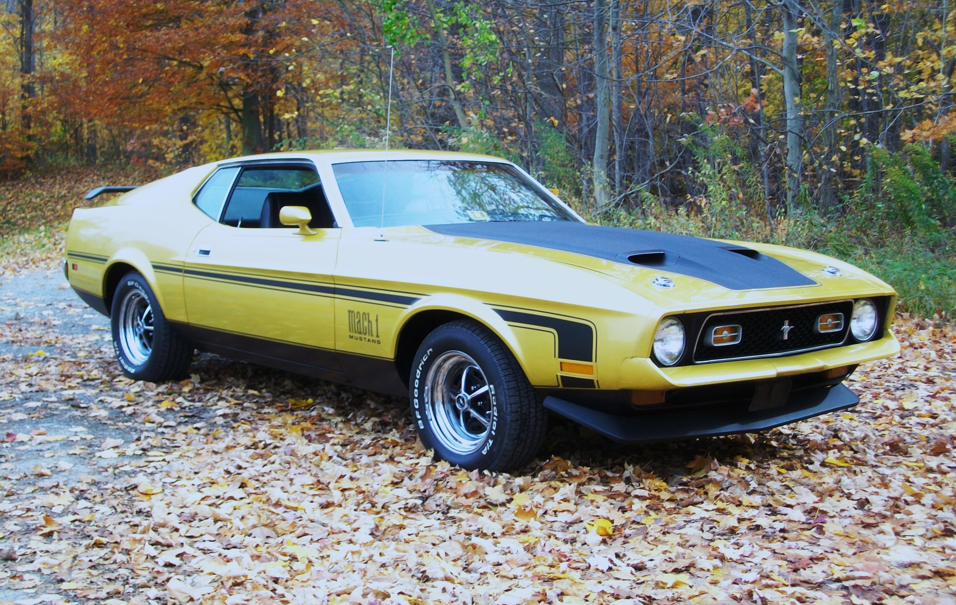Fastback Ford Mustang Mach 1 Muscle Car Yellow Car 3664x2317