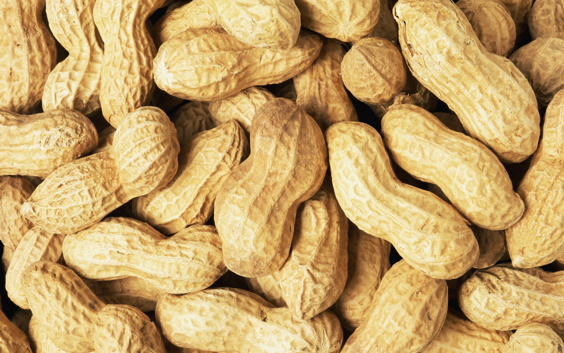 Food Peanut 1920x1200