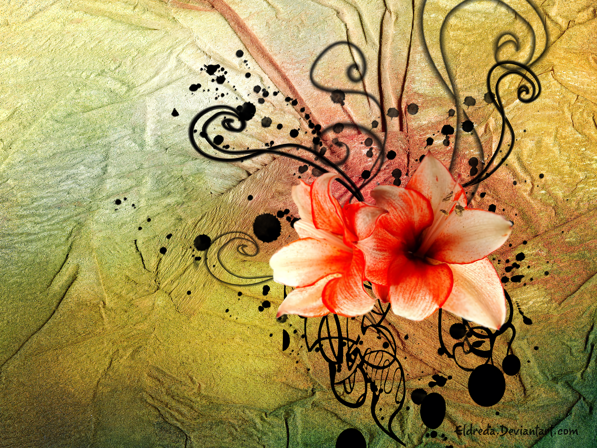 Artistic Design Floral Flower Lily 1920x1440