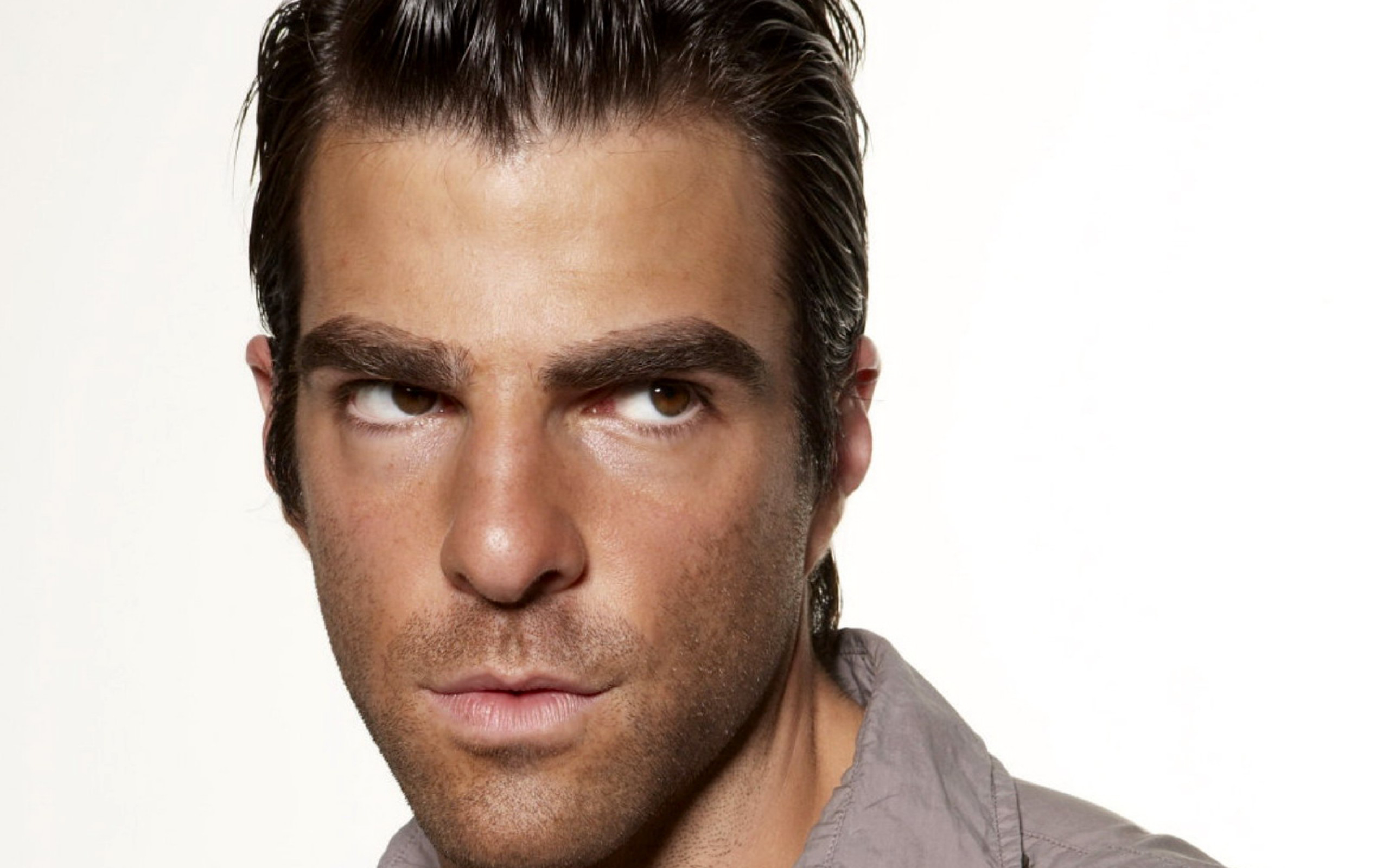 Actor American Zachary Quinto 2560x1600