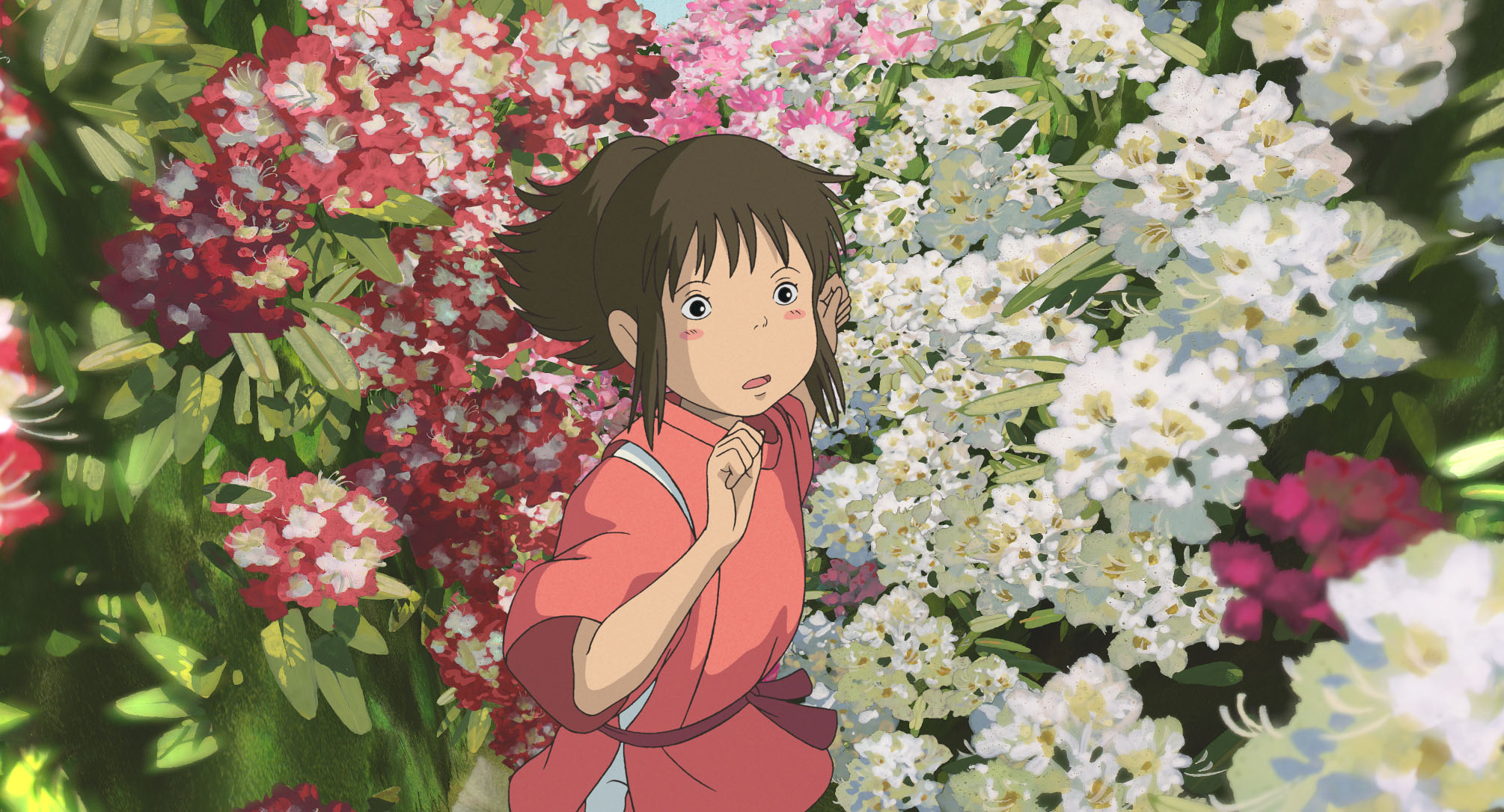 Anime Spirited Away 2010x1086