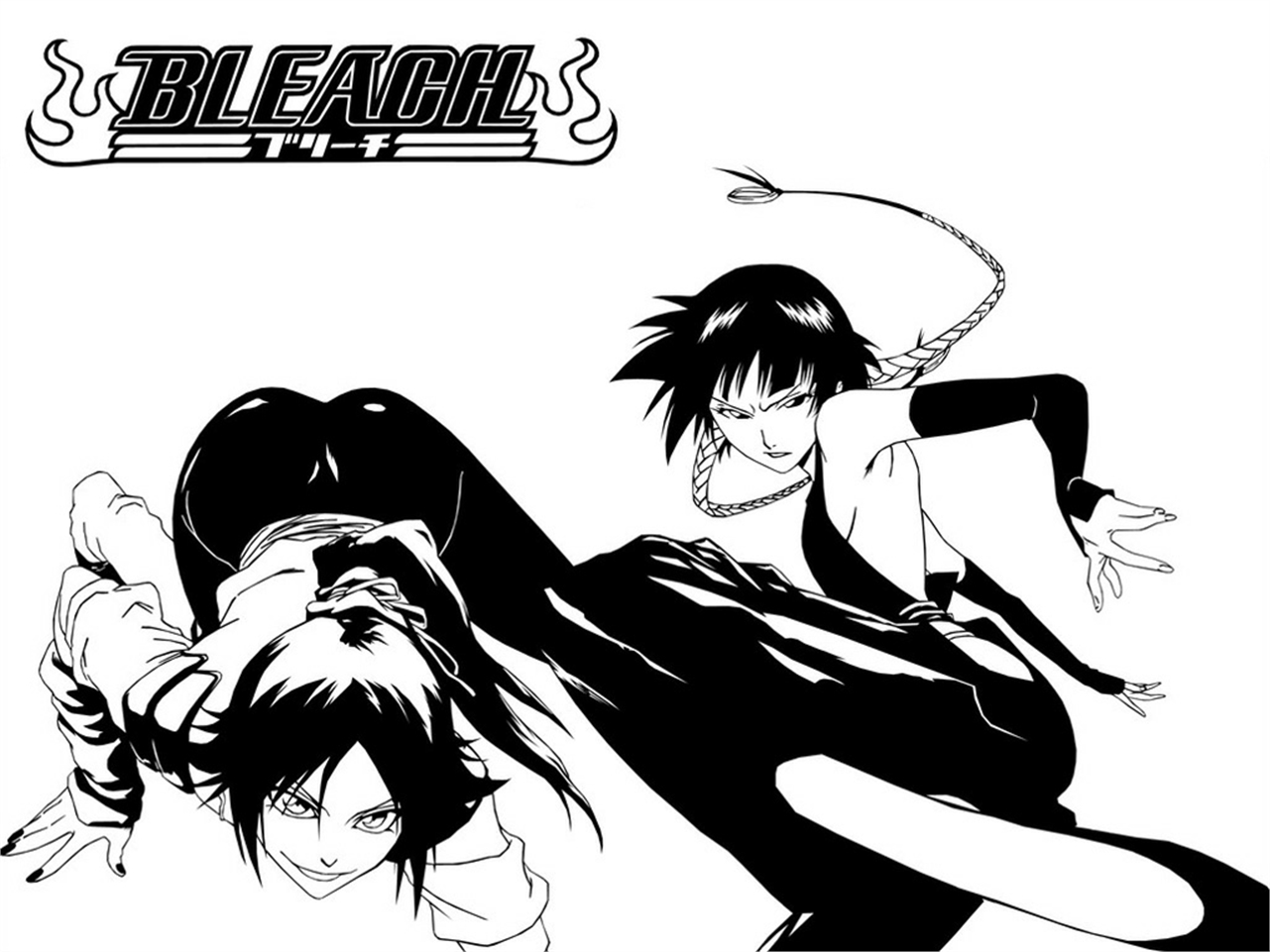 Soifon Bleach Yoruichi Shihoin 1281x961