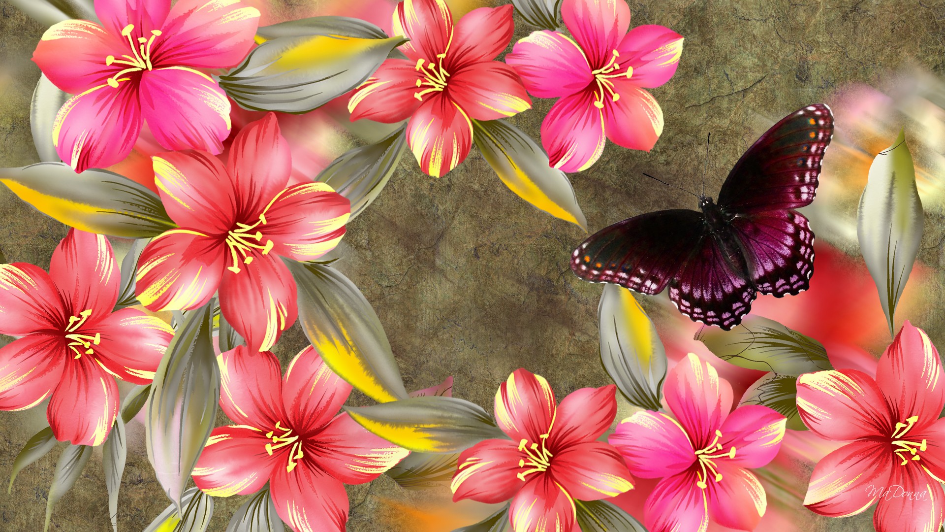 Artistic Butterfly Hibiscus Pink Purple Spring 1920x1080