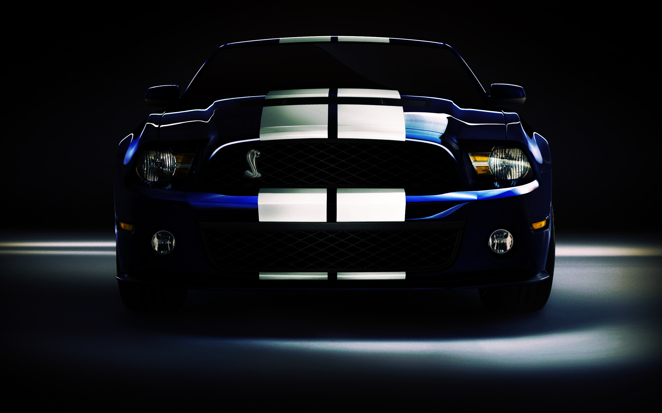 Vehicles Ford Mustang Shelby GT500 2560x1600