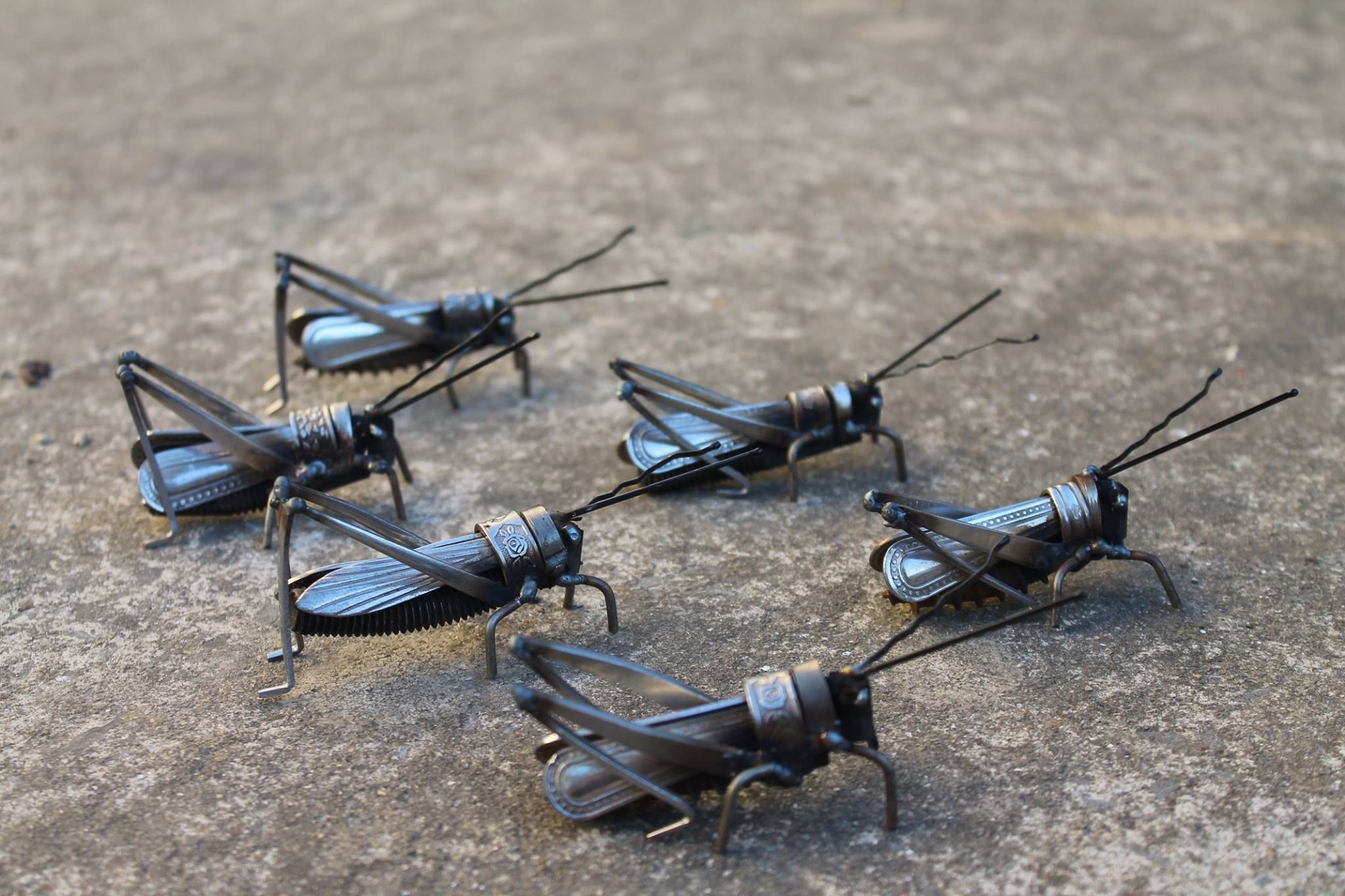 Cricket Animal Grasshopper Scrap Metal Art 2048x1365