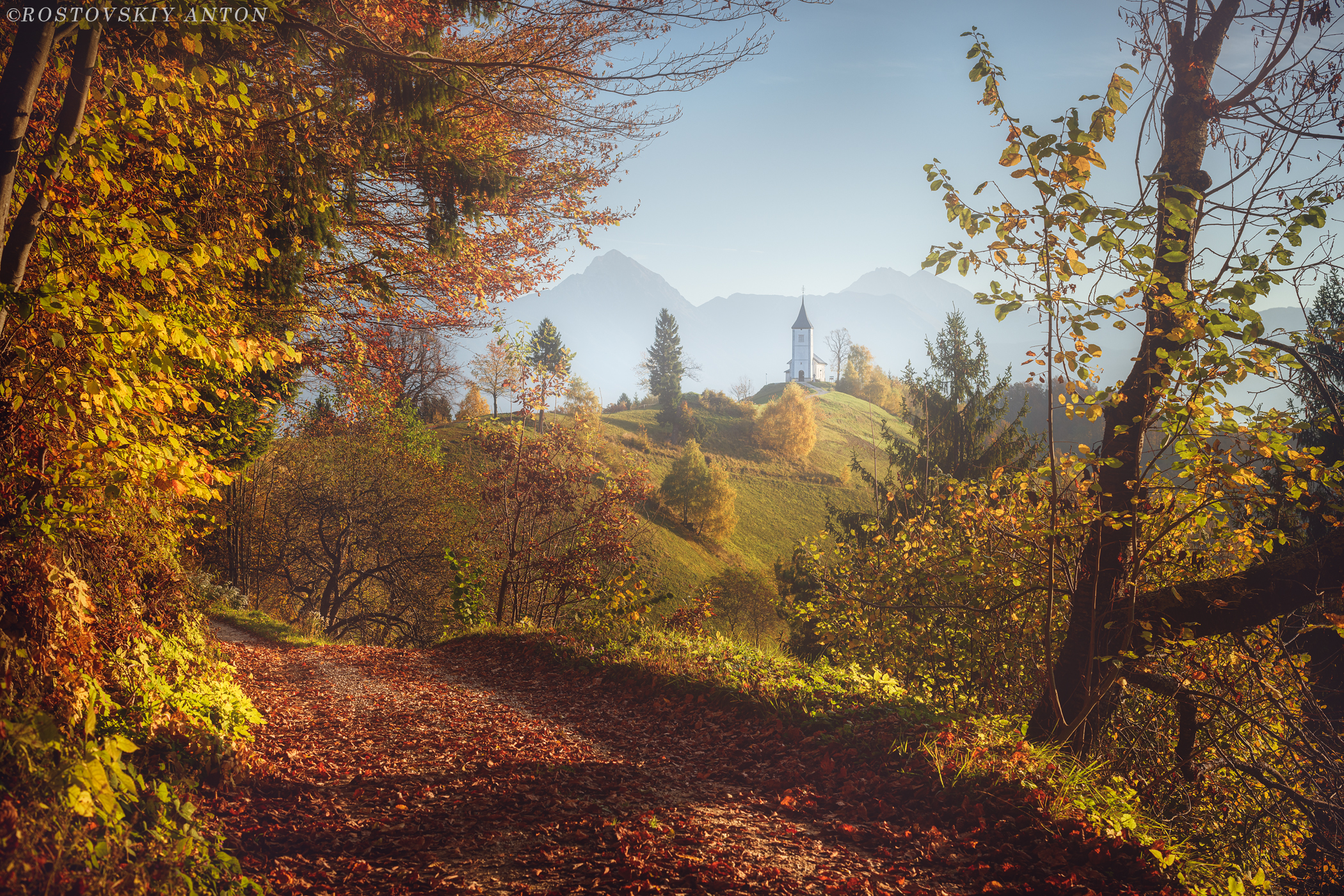 Anton Rostovskiy Landscape Fall Yellow Warm Clear Sky Fallen Leaves Leaves Trees Peak Horizon Sloven 2100x1400