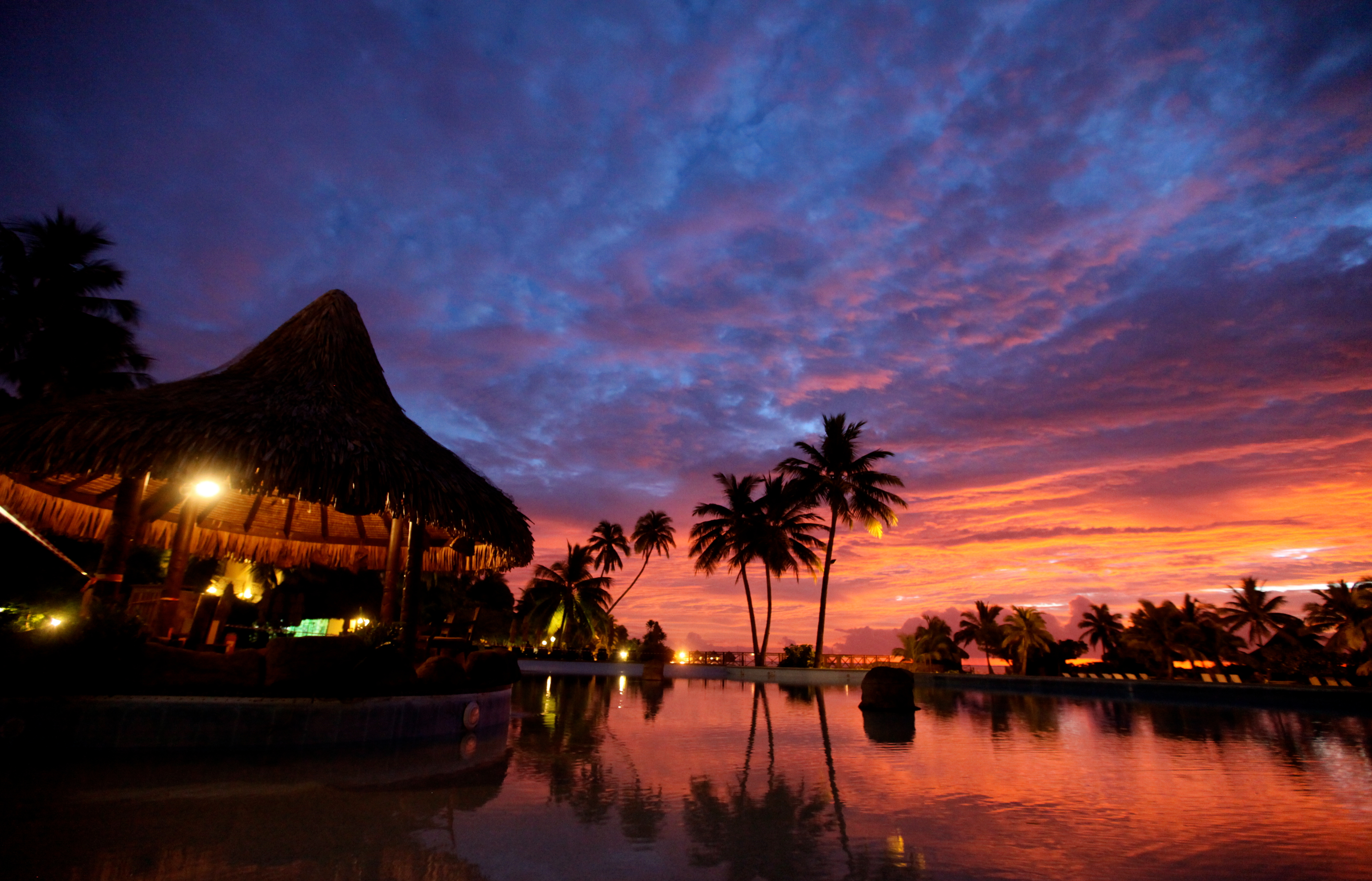 Palm Tree Resort Sunset Tropical 4671x3000